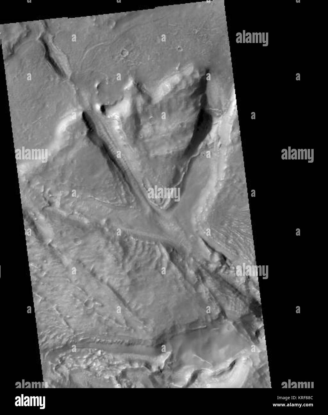 Galaxiaschaoshirist Stockfoto