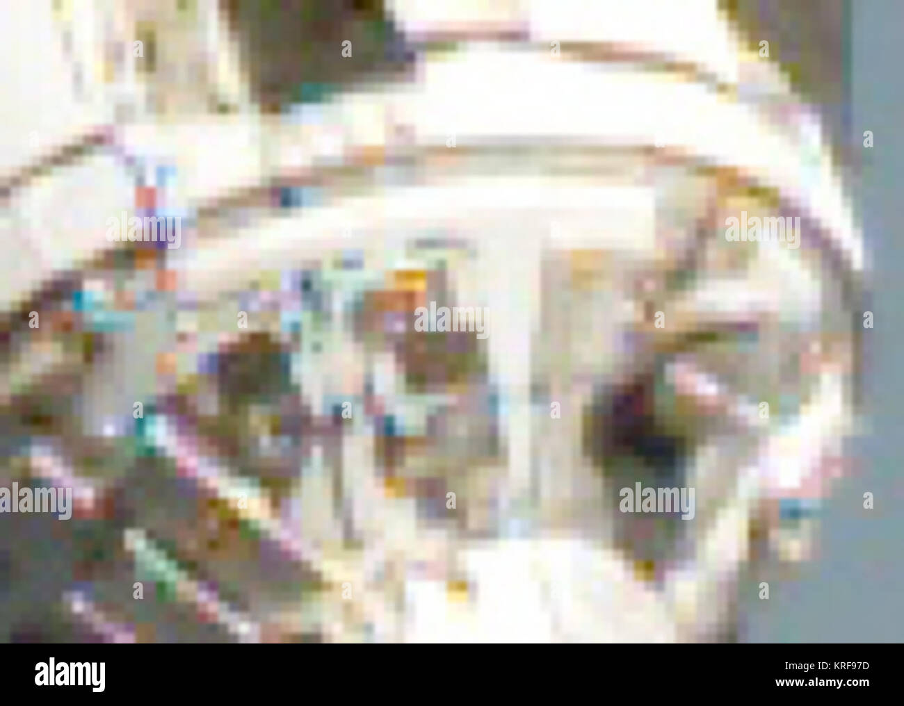 ISS Aug 2005 - Fruchtart 3 Stockfoto