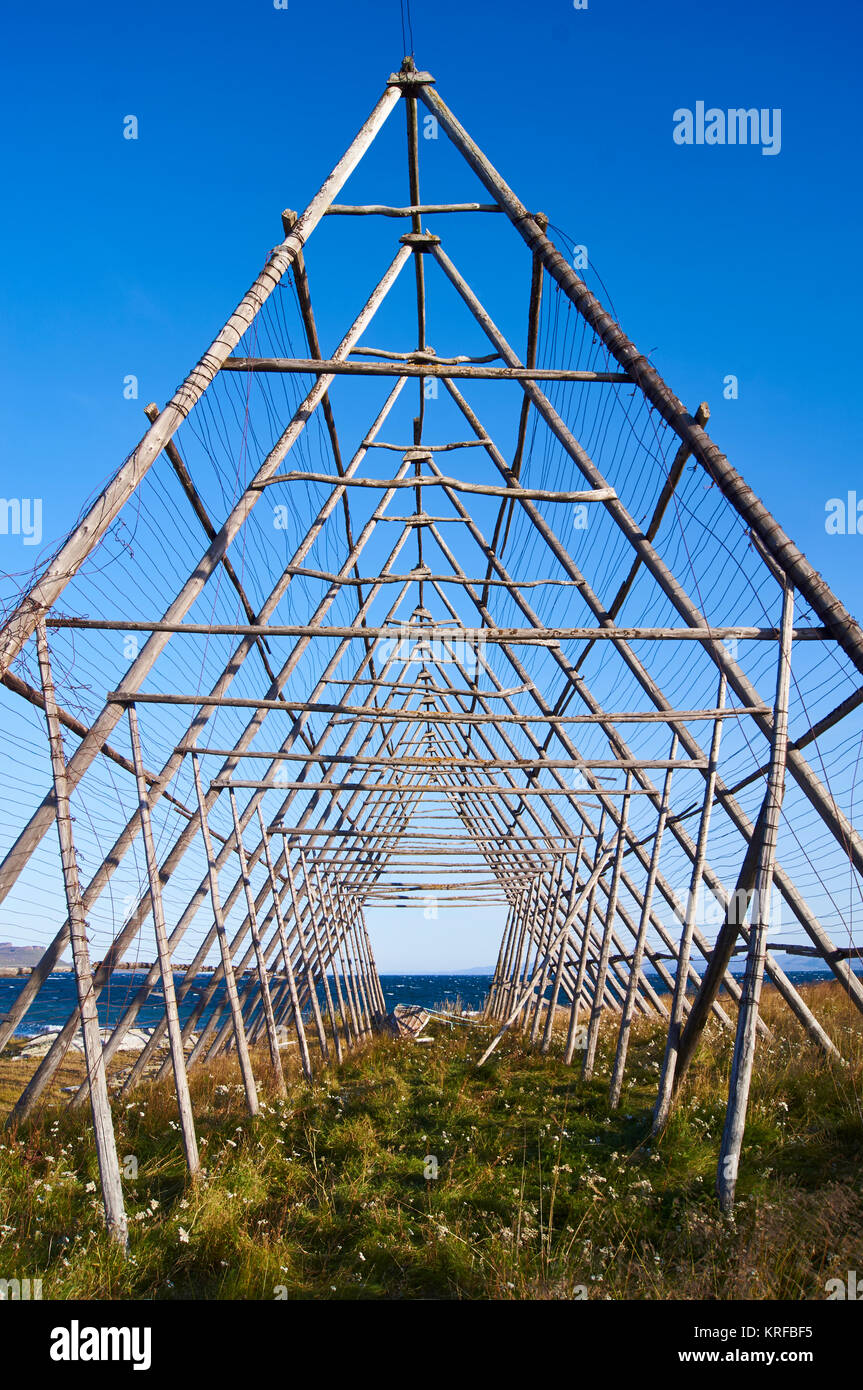 Kabeljau Wäscheständer an Nesseby, Finnmark, Norwegen Stockfoto