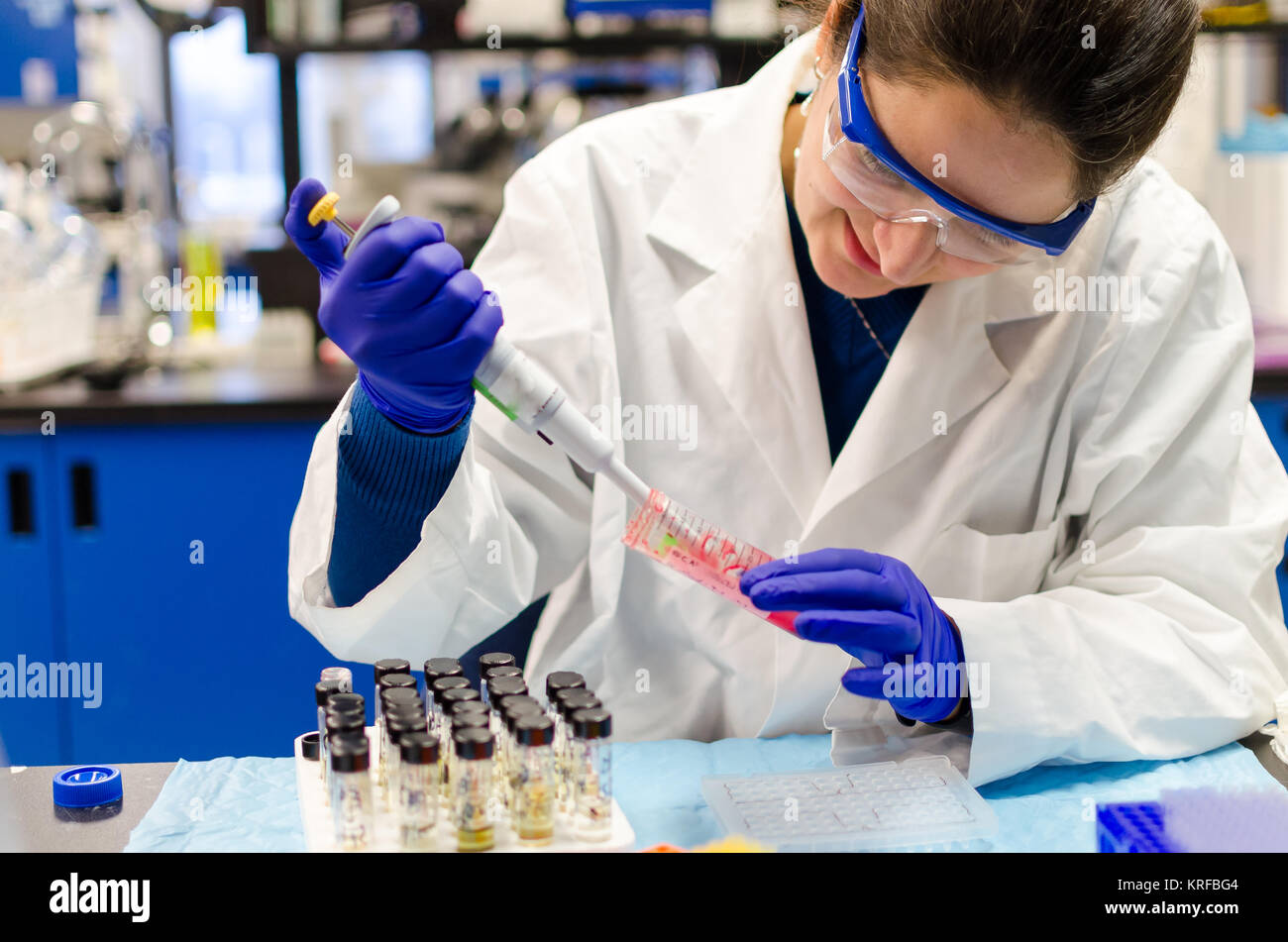 Die biomedizinische Forschung im Labor Stockfoto