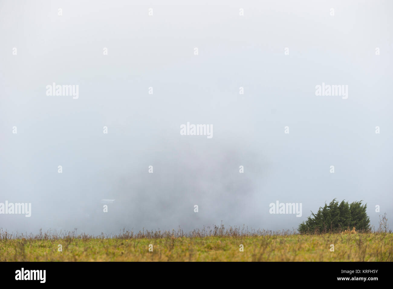 Brighton, East Sussex. Dezember 2017 20. UK Wetter. Dichter Nebel über Brighton verursacht geringere Sichtbarkeit, als von unten, wo Bevendean Bevendean die South Downs National Park entspricht. Credit: Francesca Moore/Alamy leben Nachrichten Stockfoto