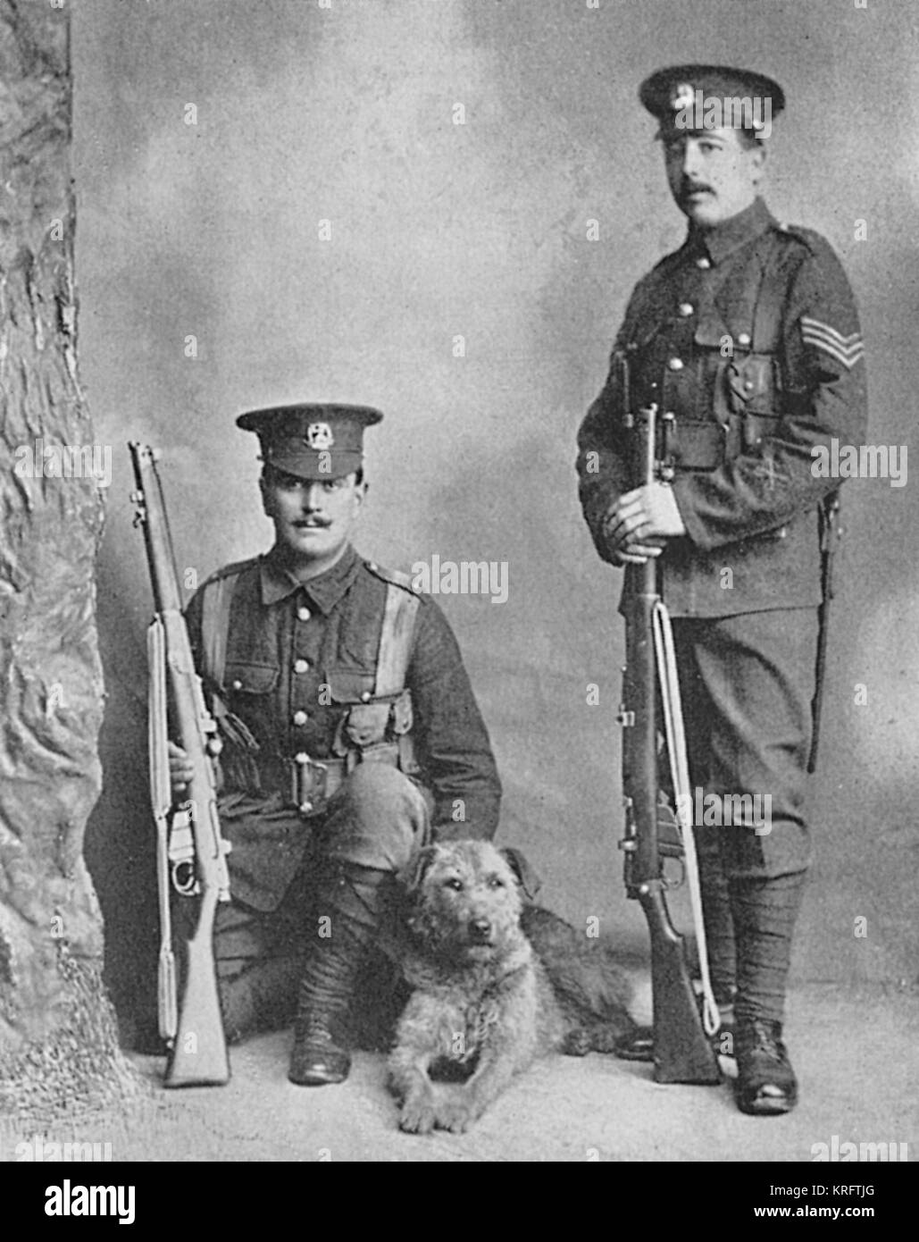 Ein Airedale Terrier mit zwei Männern der Norfolk Regiment, die ihn als Sentry Hund posieren. Der Hund war auf der Aisne in 1914 getötet. Datum: 1914 Stockfoto