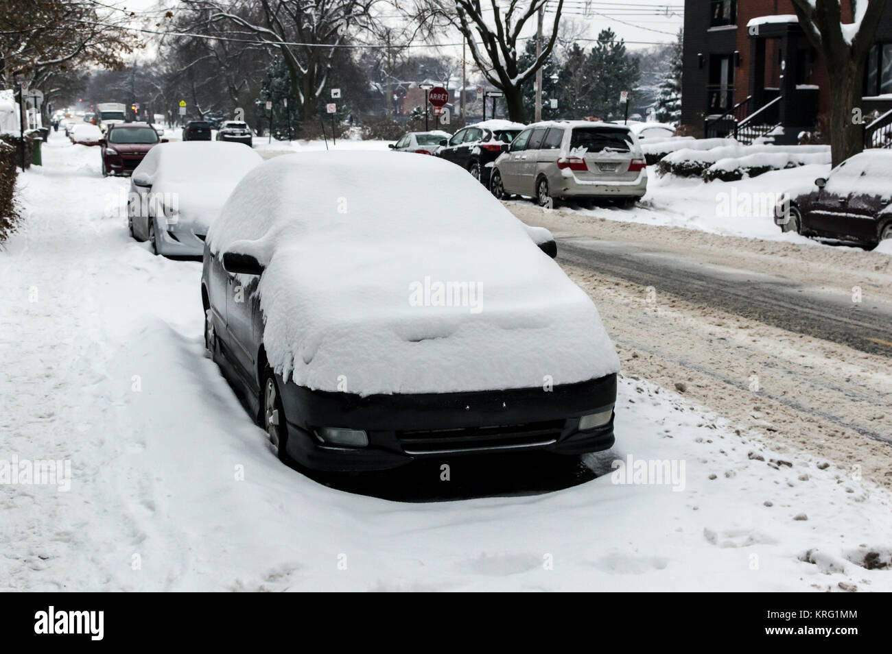 Großen Schneesturm und Blizzard durch Quebec schlagen, Anhäufung von Schnee bis gegen geparkte Autos entlang der Straße. Stockfoto