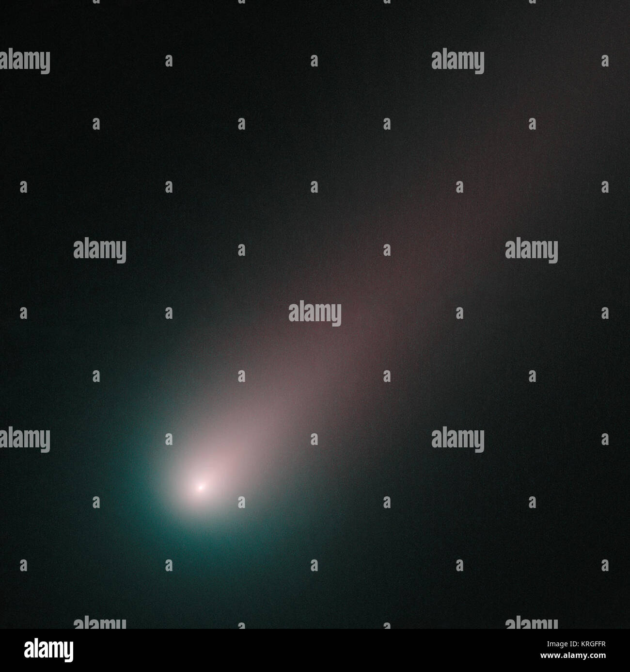 Ab Mitte November, ISON ist offiziell nach uns. Mit Hubble, wir haben unsere Nächsten schauen Sie doch am innersten Region des Kometen, wo Geysire des sublimating Eis Betankung sind eine spektakuläre Schwanz genommen. Aus Beobachtungen am 2. November, das Bild kombiniert Bilder von ISON durch blaue und rote Filter berücksichtigt. Wie wir erwarten, ist die runde Koma um das ISON Zellkern ist blau und der Schwanz hat einen rötlicheren Farbton. Eis und Gas in der Koma reflektieren blaues Licht von der Sonne, während die Staubkörner in der Schwanz mehr rote als blaue Licht reflektieren. Dies ist die Farbtrennung, die wir bisher in ISON gesehen habe - das ist b Stockfoto