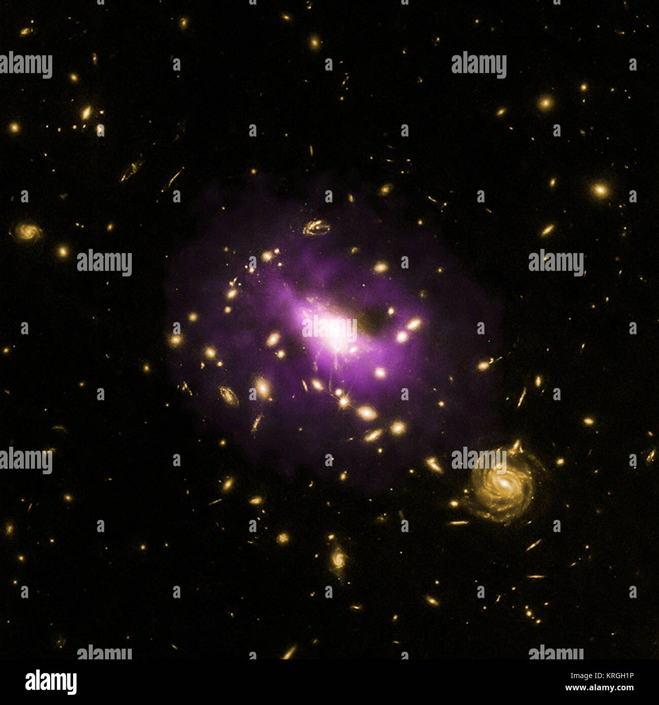 Haben Astronomen der NASA Chandra X-ray Observatory und anderen Teleskopen zu offenbaren eine der mächtigsten schwarzen Löcher bekannt. Das supermassive Schwarze Loch befindet sich im Zentrum eines Galaxienhaufens namens RX J 1532.9 +3021 liegt etwa 3,9 Milliarden Lichtjahre von der Erde entfernt. Das Bild hier ist ein Verbund von X-ray Daten von Chandra enthüllt heißes Gas im Cluster in Purpur und optischen Daten aus dem Hubble Space Telescope, Galaxien in Gelb. Supersonic Jets durch das Schwarze Loch erzeugt haben in das heiße Gas gebohrt und schob sie beiseite, bilden die große Hohlräume, die auf beiden Seiten des gesehen werden kann. Stockfoto