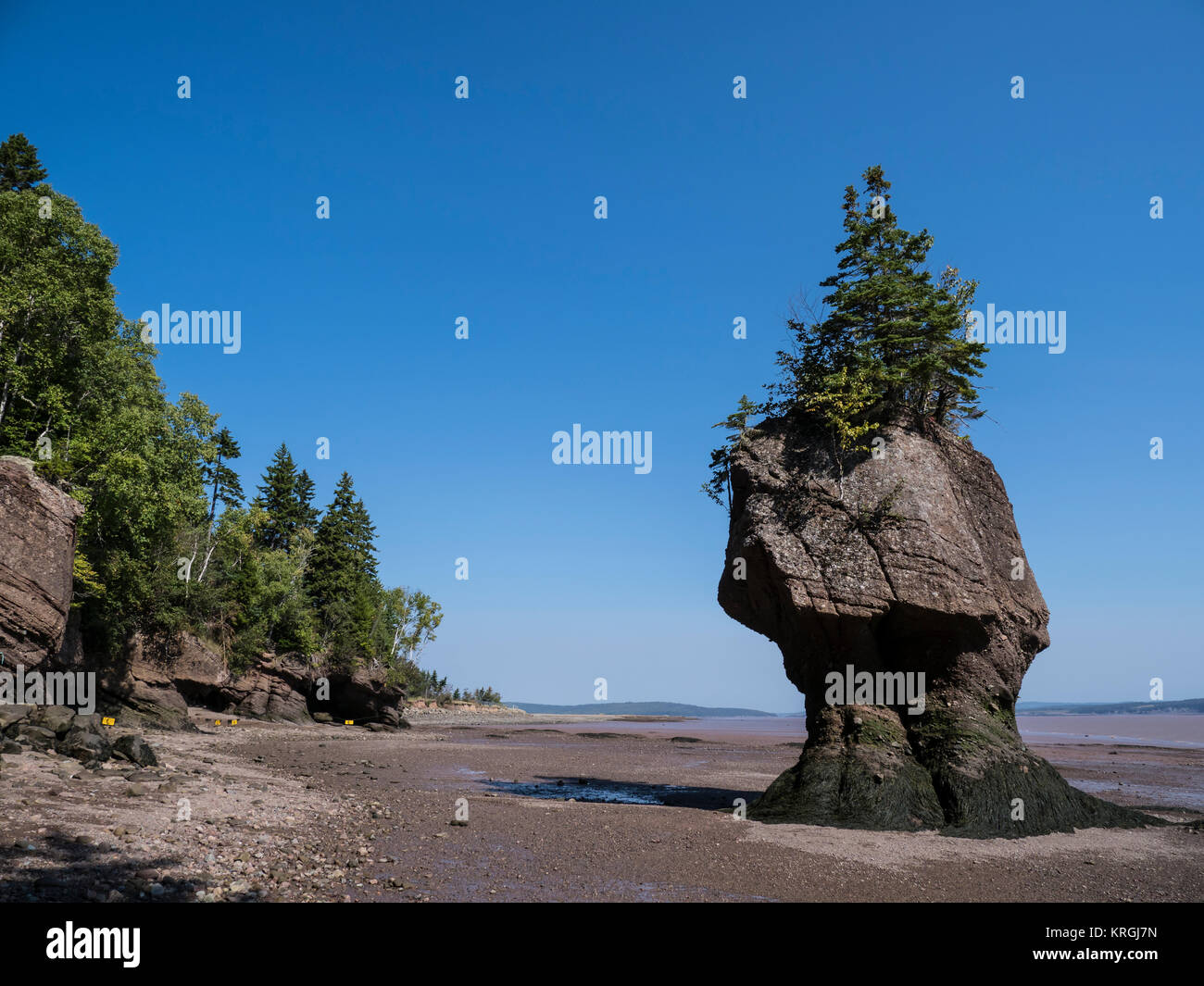 Flowerpot Rocks, Hopewell Rocks, Bucht von Fundy, New Brunswick, Kanada. Stockfoto