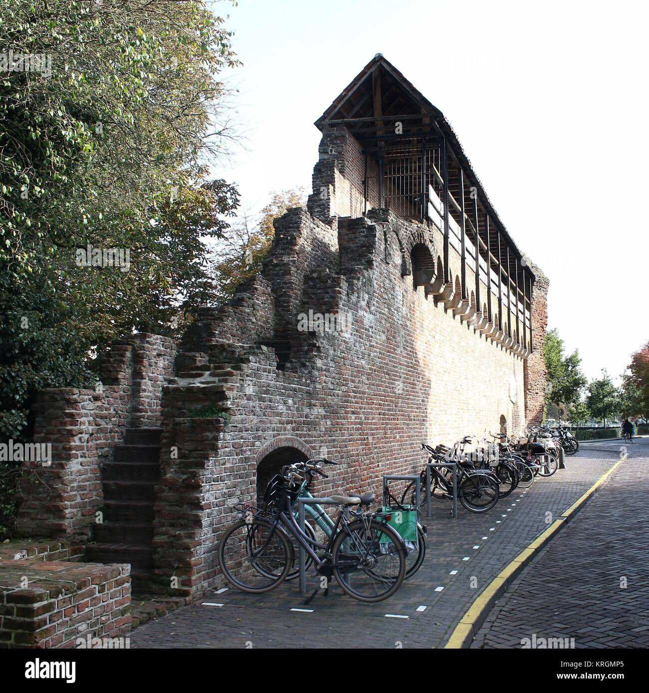 Viele City Bikes an der Stadtmauer und der mittelalterlichen Stadtmauer entlang Thorbeckegracht/Thorbecke Canal, Zwolle, Niederlande Stockfoto