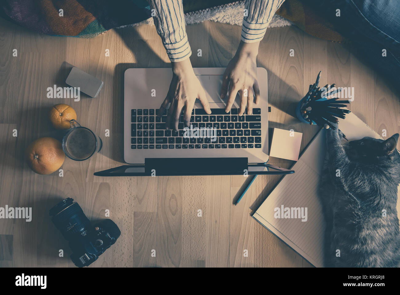 Kreative Heimat Arbeit Platz: Mädchen arbeiten mit Ihrer Katze Stockfoto