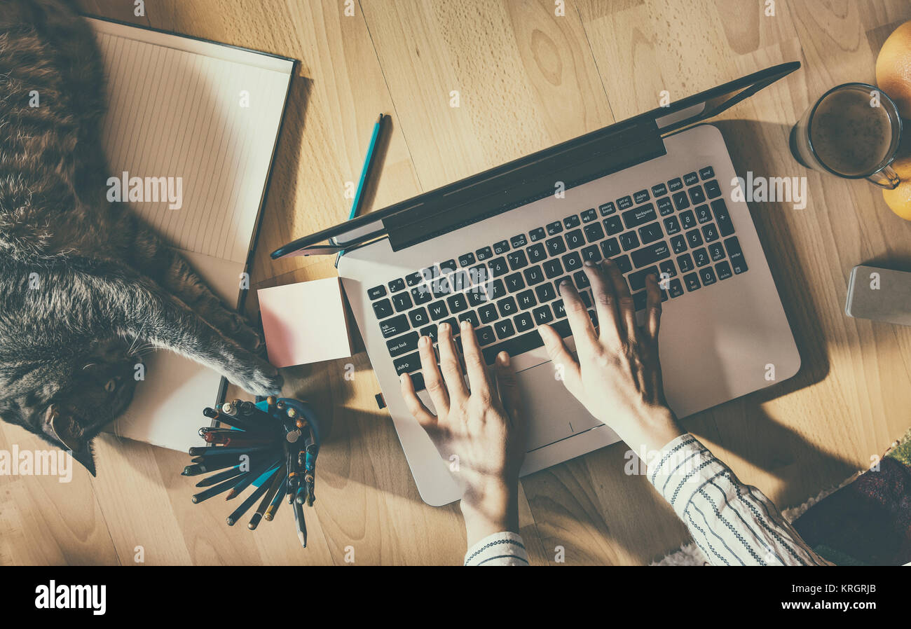 Kreative Heimat Arbeit Platz: Mädchen arbeiten mit Ihrer Katze Stockfoto