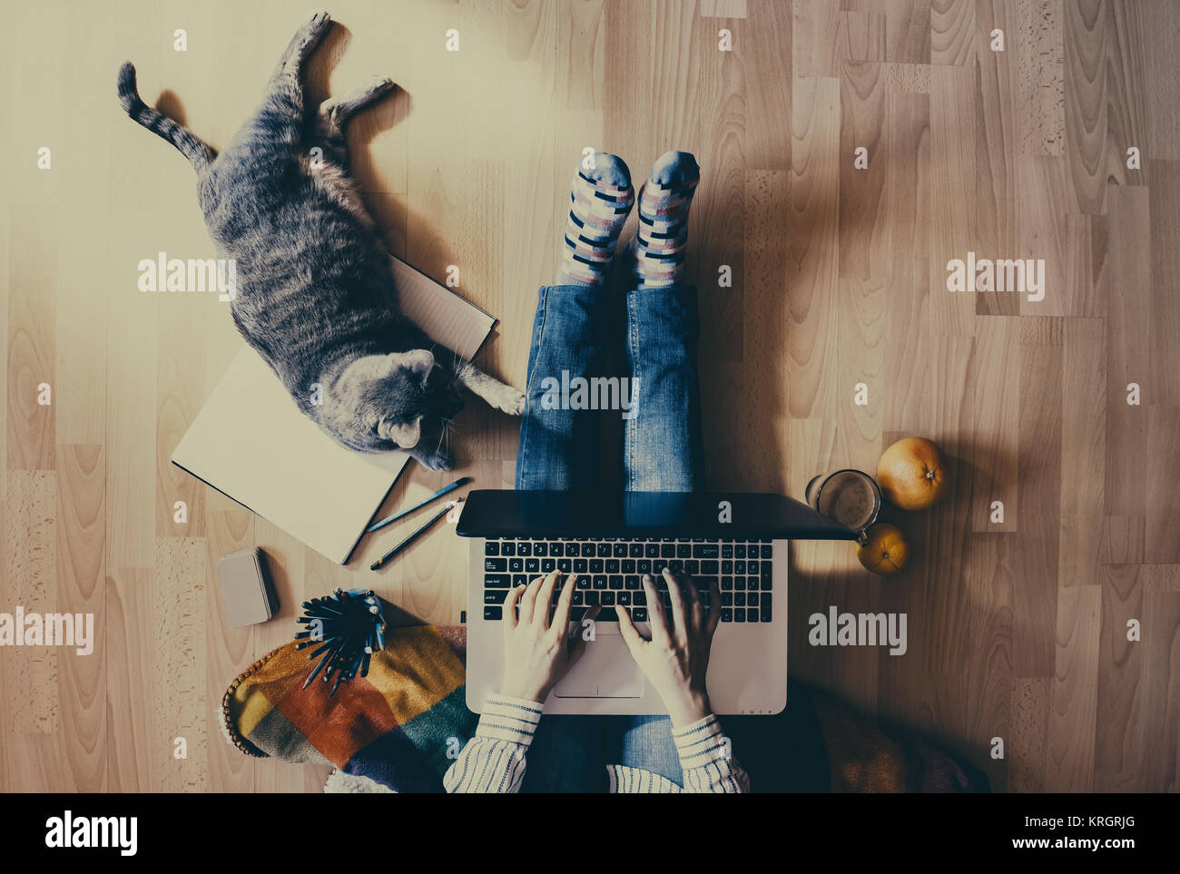 Kreative Heimat Arbeit Platz: Mädchen arbeiten mit Ihrer Katze Stockfoto