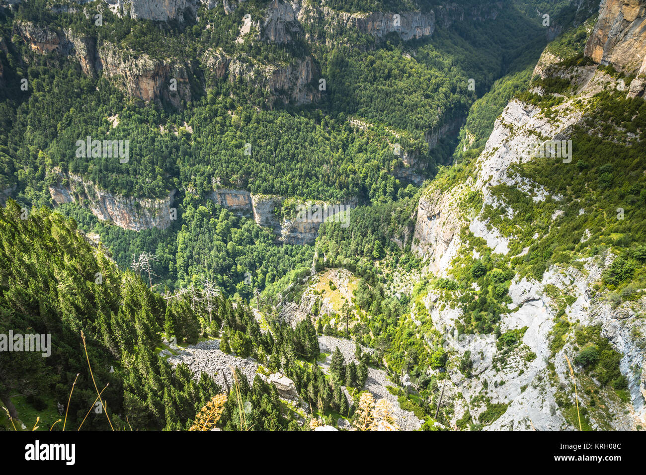 Pyrenäen-Landschaft - Anisclo Canyon im Sommer. Huesca, Spanien Stockfoto