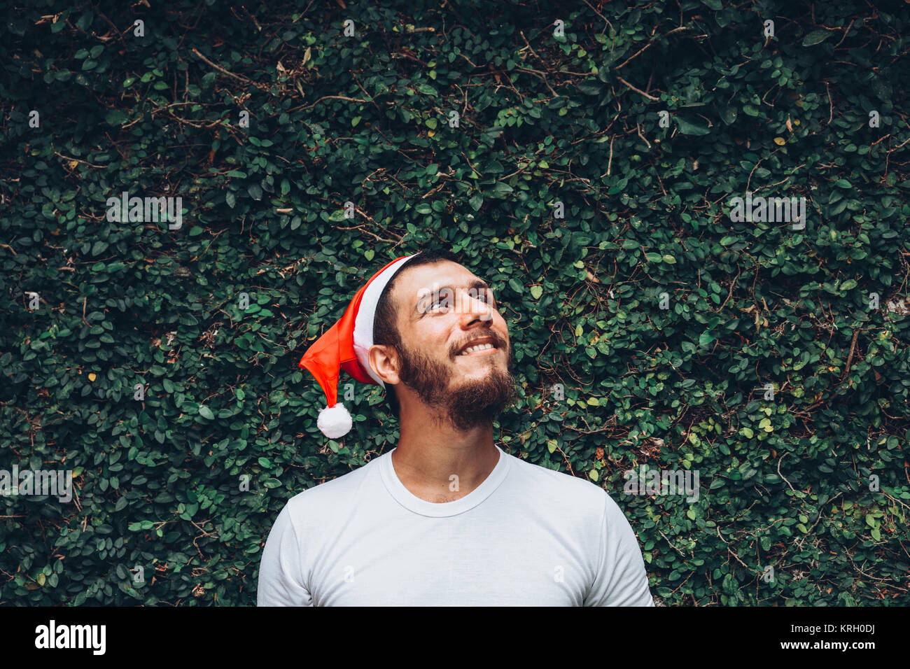 Junge brunette Mann mit einem Weihnachten Kappe, über eine Textur vegetal Hintergrund, suchen und lächelnd Stockfoto