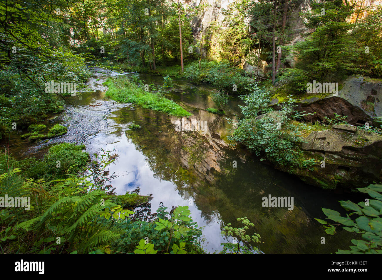 Kamnitz Schlucht Landschaft auch Edmundsklamm und Wanderwege in der Böhmischen Schweiz in Hrensko Tschechien Stockfoto