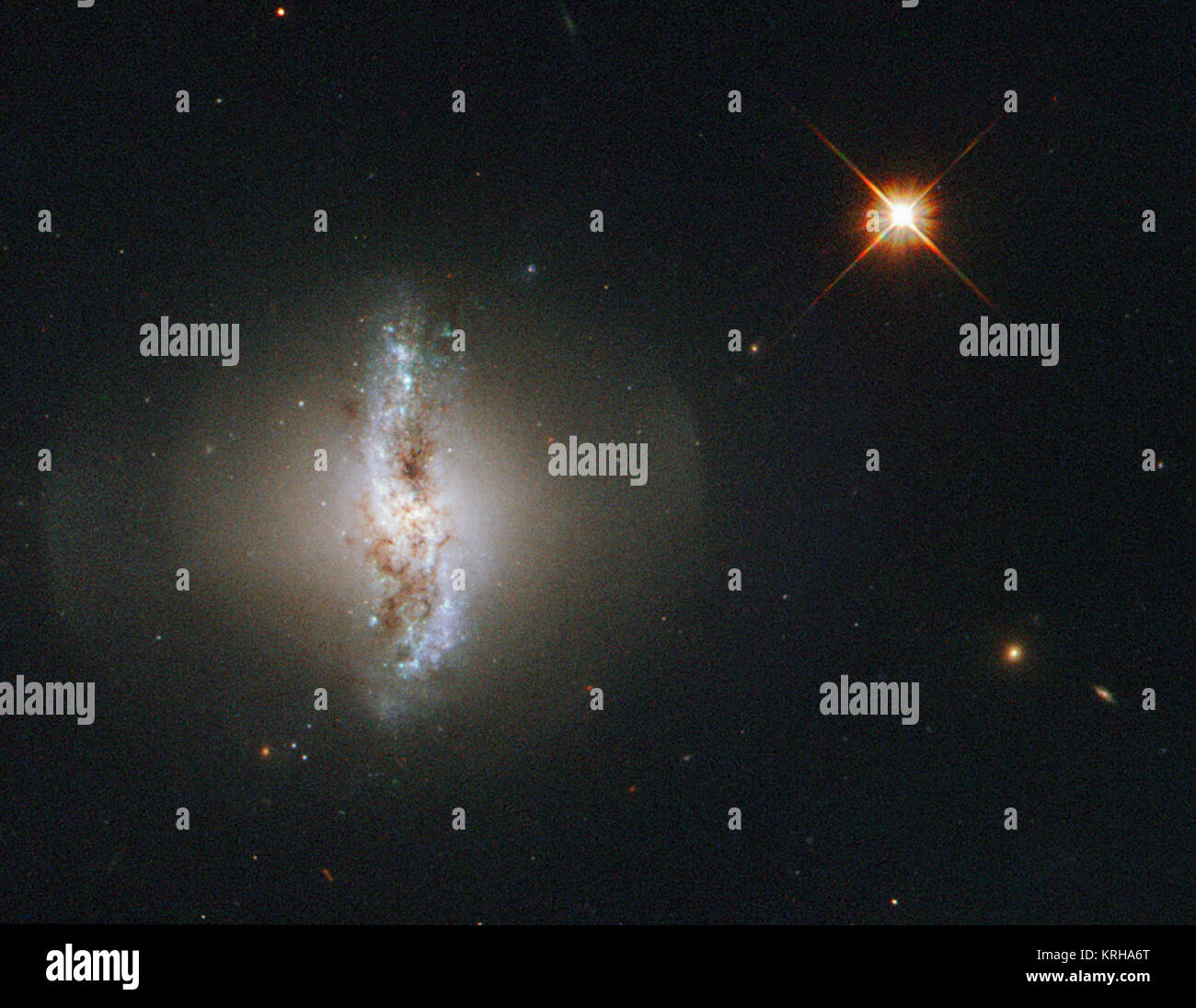 Dieses Bild der Woche zeigt Arp 230, auch als IC51, die von der NASA/ESA Hubble Space Teleskop beobachtet bekannt. Arp 230 ist eine Galaxie von einer gelegentlich oder besondere Form und ist somit Teil des Atlas der eigenartigen Galaxien von Halton Arp produziert. Die unregelmäßige Form ist das Ergebnis eines heftigen Kollision mit einer anderen Galaxie, die irgendwann in der Vergangenheit. Die Kollision könnte auch verantwortlich für die Bildung von polaren Ring der Galaxie statt. Den äußeren Ring um die Galaxie besteht aus Gas und Sterne und dreht sich über die Pole der Galaxie. Es wird angenommen, dass die Umlaufbahn des kleineren Stockfoto