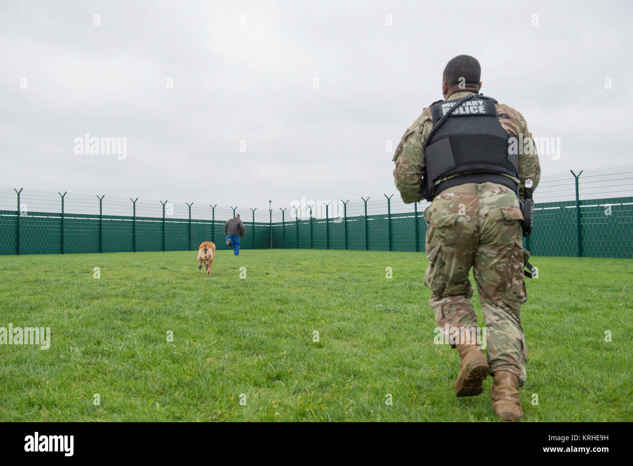 Us-Armee SPC. Teabout Tahle, militärische Gebrauchshund (MWD) Handler mit dem 100 MWD Loslösung, läuft auf die angebliche vermuten, als er entfesselt Militär hund Rex, sieben Jahre alten Malinois, für MWD-Einarbeitung training, auf chièvres Air Base, Belgien, 7. Dezember, 2017. (U.S. Armee Stockfoto