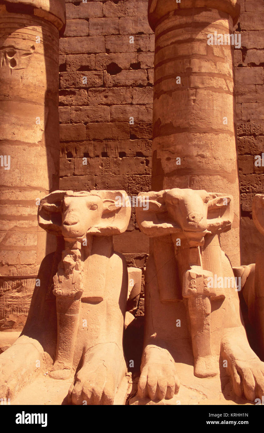 Criosphinxes im Tempel von Karnak, Theben-west Stockfoto