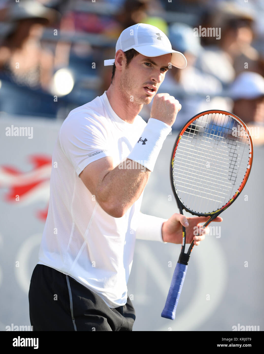 NEW YORK, NY - 07 September: Andy Murray an Tag 8 der 2015 US Open am USTA Billie Jean King National Tennis Center am 7. September 2015 in der Nähe der Queens Borough von New York City. Personen: Andy Murray Stockfoto