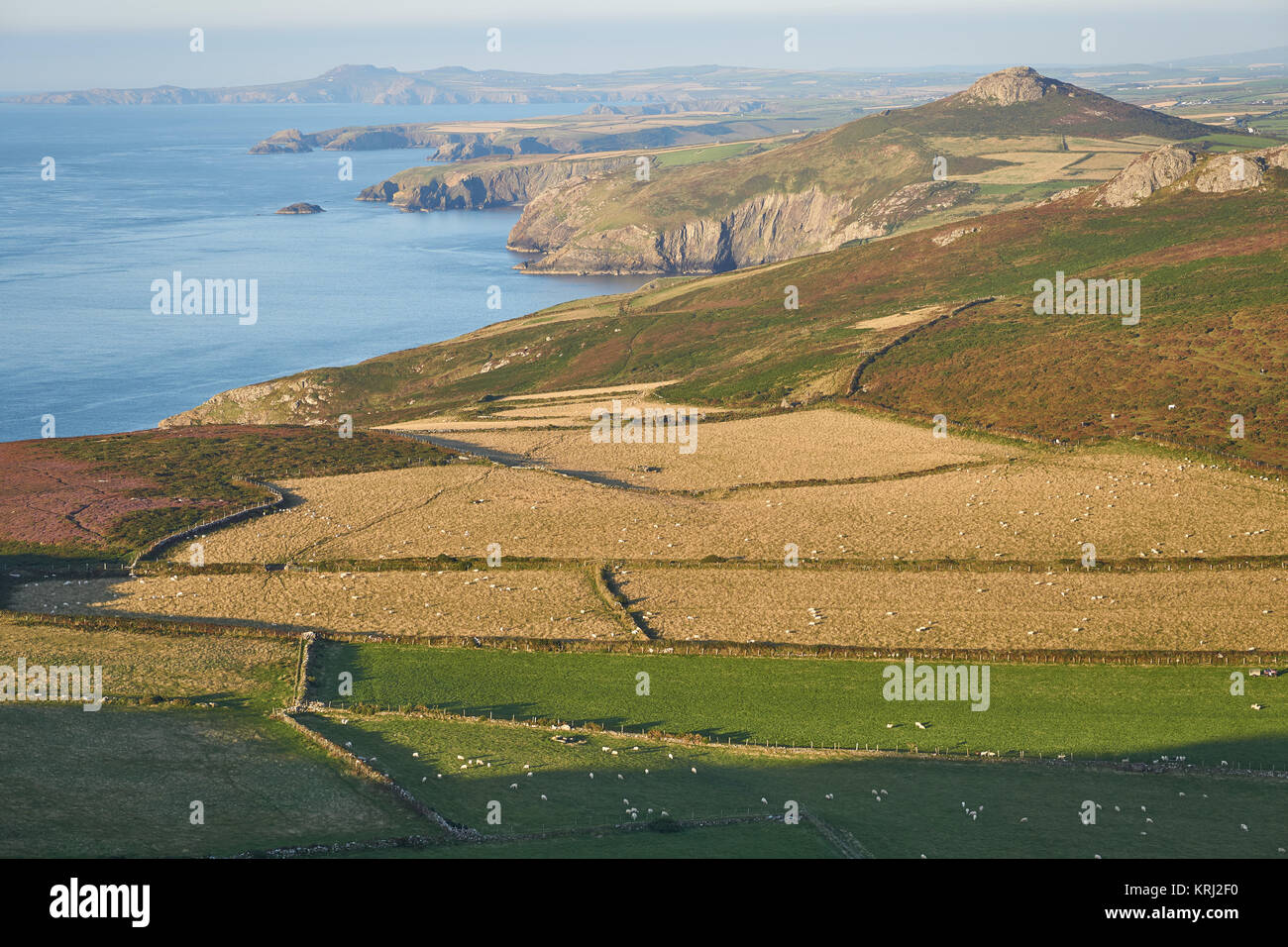 Der walisischen Küste von Carn Llidi Berg Whitesands Bay - zu Fuß entlang der Pembrokeshire Coast Path, Porth Mawr, Wales Stockfoto