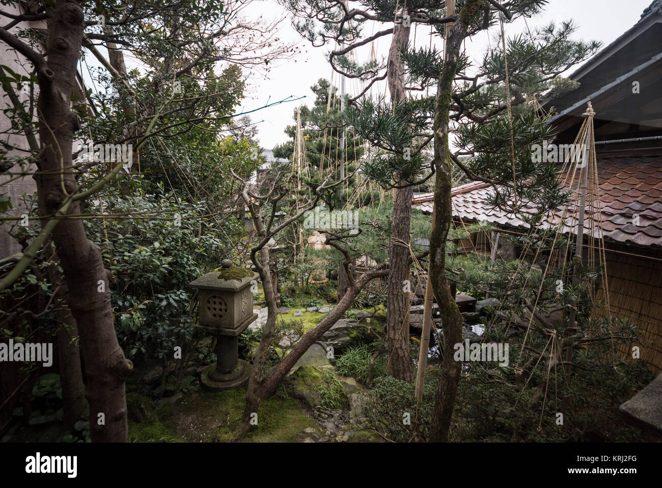 Ehemalige Nomura Wohnsitz der Familie, die Residenzen Viertel Nagamachi Samurai, Kanazawa City, Präfektur Ishikawa, Japan Stockfoto