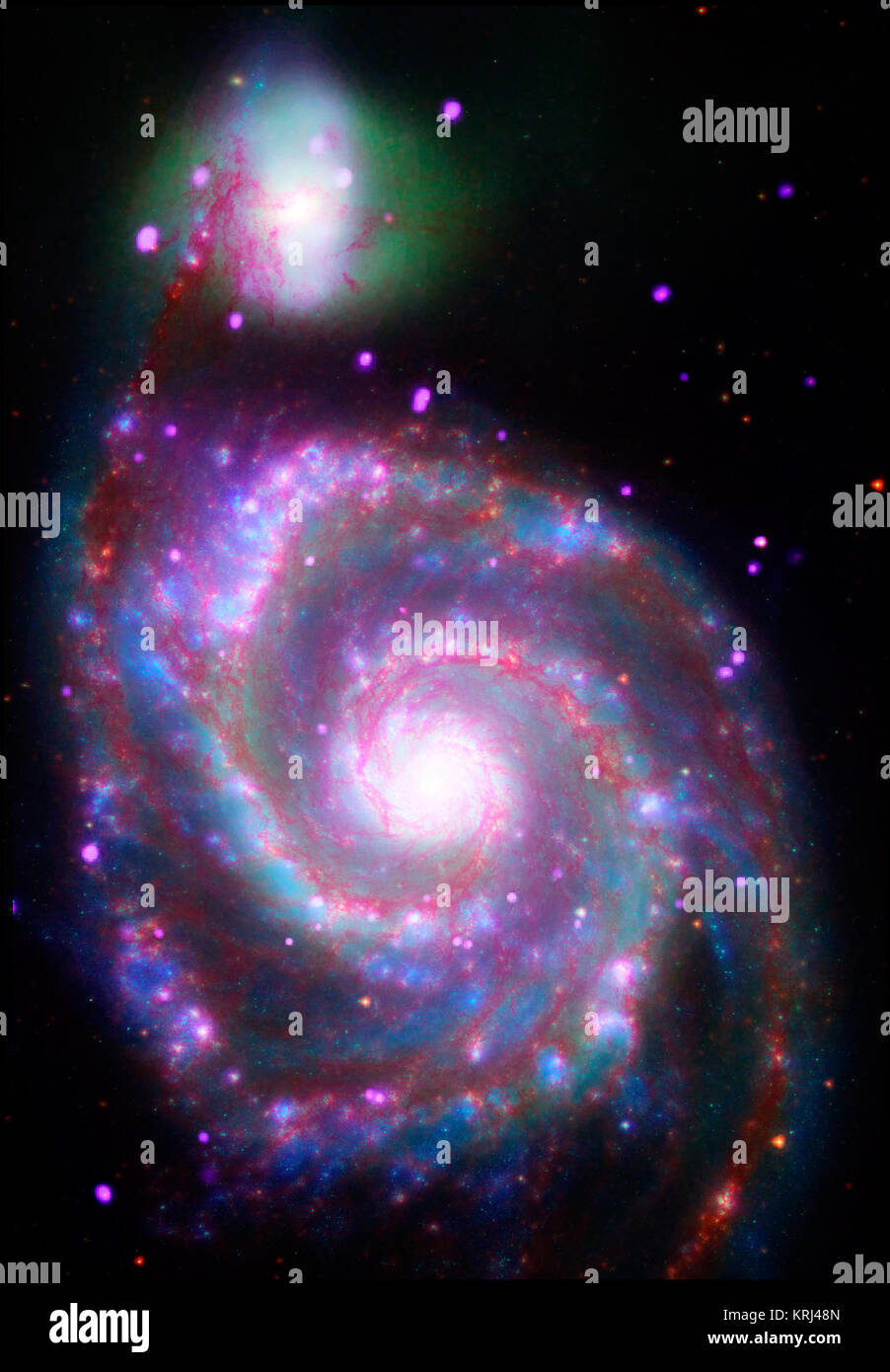 M51, dessen Name kommt von der 51. Eintrag in Charles Messier's Katalog gilt als eines der klassischen Beispiele für eine Spiralgalaxie. In einer Entfernung von etwa 30 Millionen Lichtjahre von der Erde, es ist auch eine der hellsten Spiralen in den Nachthimmel. Ein zusammengesetztes Bild von M51, auch als Whirlpool Galaxie bekannt, zeigt die Majestät seiner Struktur in einem dramatischen neuen Weg durch mehrere der NASA umkreisen Observatorien. X-ray Daten von der NASA Chandra X-ray Observatory offenbart punktförmige Quellen (lila), dass Schwarze Löcher und Neutronensterne in Binären Sternensystemen. Chandra erkennt auch Stockfoto