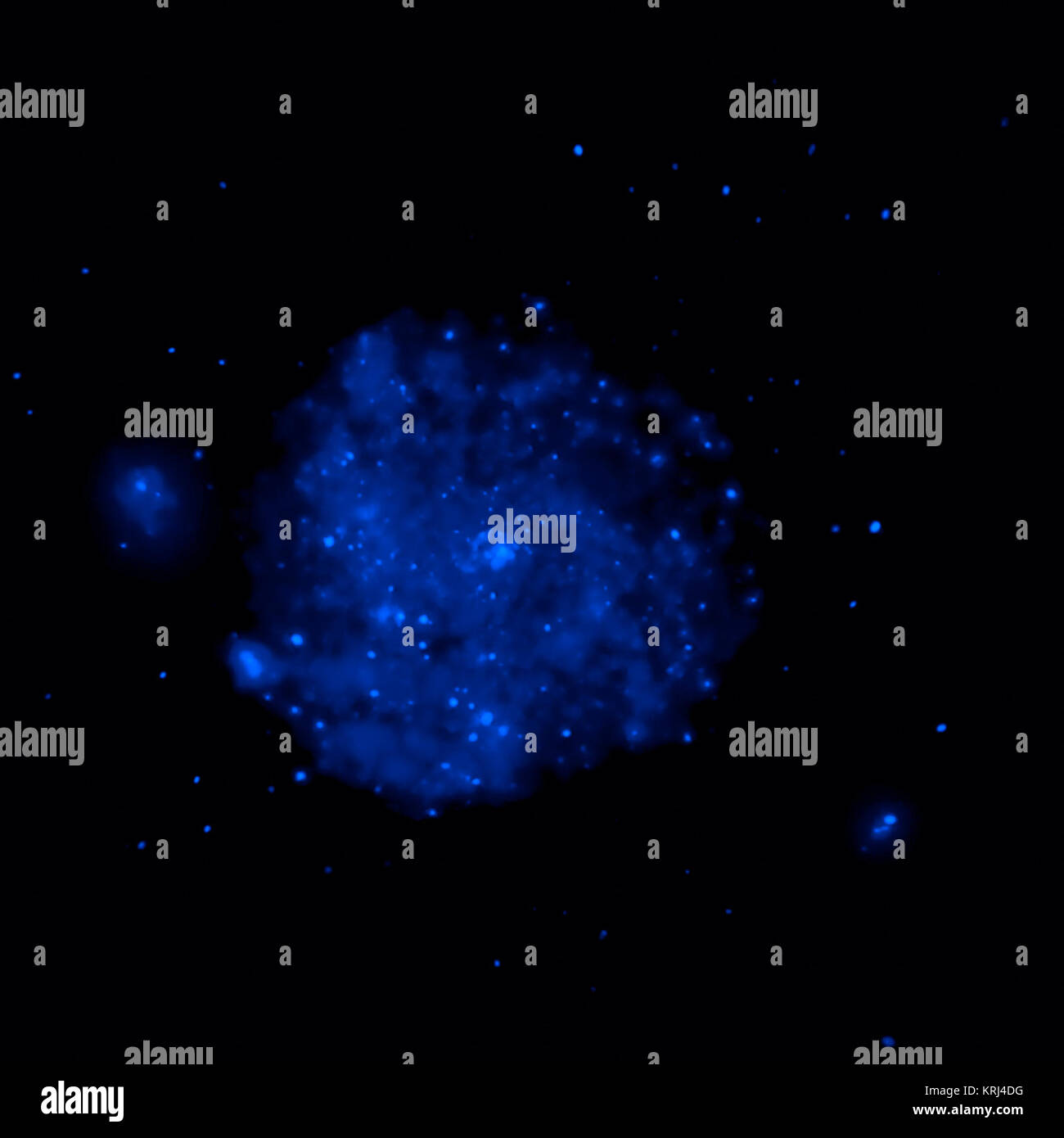 Die blaue Farbe zeigt Chandras Ansicht im Röntgenlicht. Quellen der Röntgenstrahlen Millionen Grad Gas gehören, explodierten Sterne und Material um Schwarze Löcher kollidieren. Messier 101 (blaue Komponente, durch das Chandra X-ray Observatory aufgenommen) Stockfoto