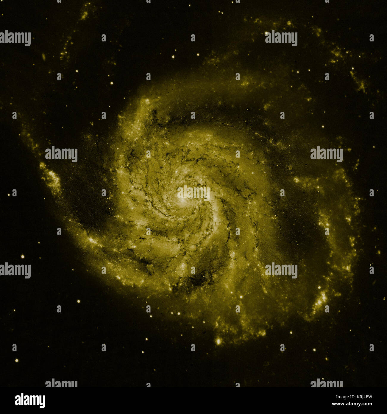 Die gelbe Farbe ist Hubbles Sicht in sichtbares Licht. Die meisten dieses Licht kommt von Sternen, und Sie die gleiche spiralförmige Struktur trace wie Staub Gassen. Messier 101 (gelbe Komponente, die das Hubble-Weltraumteleskop aufgenommen) Stockfoto