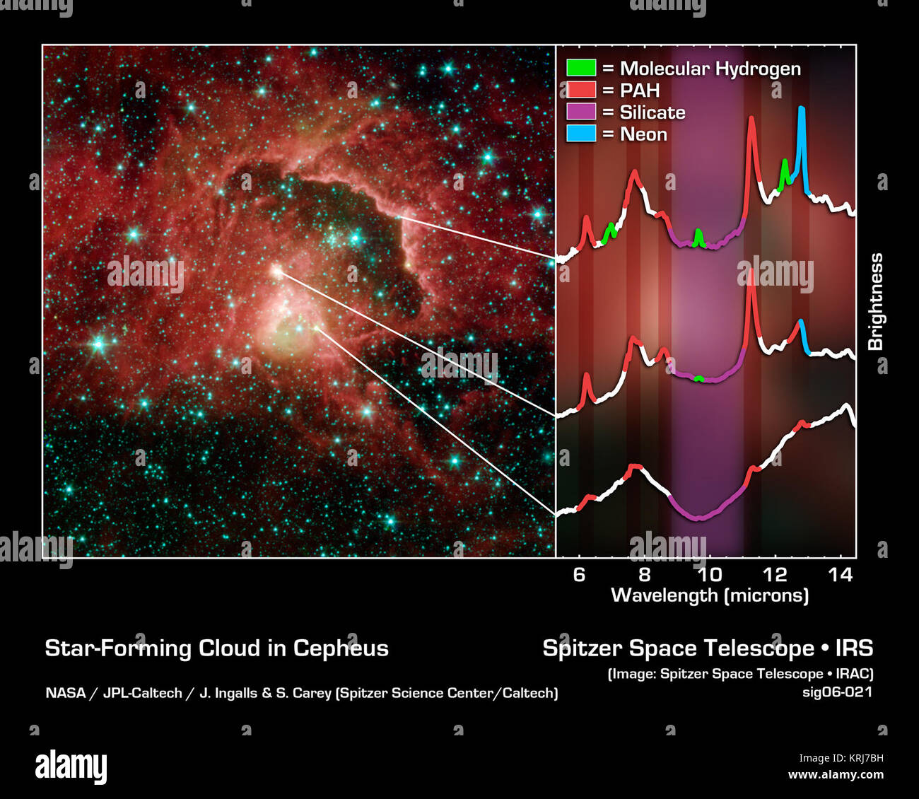 Dieses Bild von NASA's Spitzer Space Telescope enthüllt die komplexen Lebenszyklus junger Sterne in ihren Staub-ummantelte Anfängen bis zu ihrer stellaren Debüts. Die stellare Kinderstube wurde in einer kosmischen Wolke sitzen 21.000 Licht entdeckt - Jahre entfernt im Sternbild Cepheus. Ein Star wird geboren, wenn ein dichtes patch Gas und Staub fällt innerhalb einer kosmischen Wolke. In der ersten Million Jahre von einem Stern leben, es ist vom Sichtbaren verborgen - Licht sehen durch die Wolke, auf dem sie erstellt wurden. Schließlich als der Stern reift, seine starke Winde und Strahlung wegblasen umgebenden Material und der Stern enthüllt sich voll und ganz auf die Unive Stockfoto