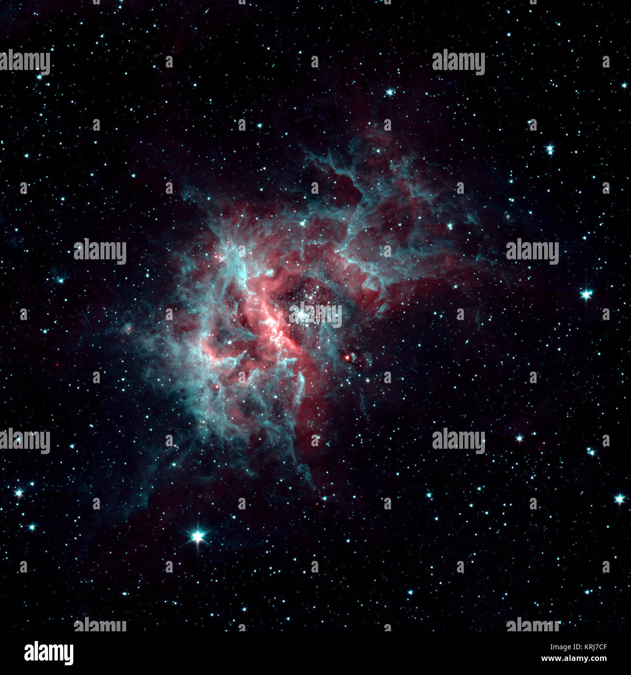 Dieses Bild von prolific Sternentstehungsregion RCW 49 macht atemberaubende Detail dieses dunkel und staubig, die Region ist die Heimat von mehr als 2.200 Sterne. Hier in zwei Kanälen, 3,6 µm und 4,5 µm als Cyan abgebildet gezeigt, wie Rot, staubigen organische Moleküle, sogenannter "polyzyklische aromatische Kohlenwasserstoffe (PAK) Leuchten in der Wärme der Starlight abgebildet. 4.5 µm, heißem Wasserstoffgas leuchtet sehr hell, fast wie ein Neon Licht im sichtbaren Licht leuchten, und können gut sichtbar auf dem Bild zu sehen ist. 2-Kanal RCW 49 Stockfoto