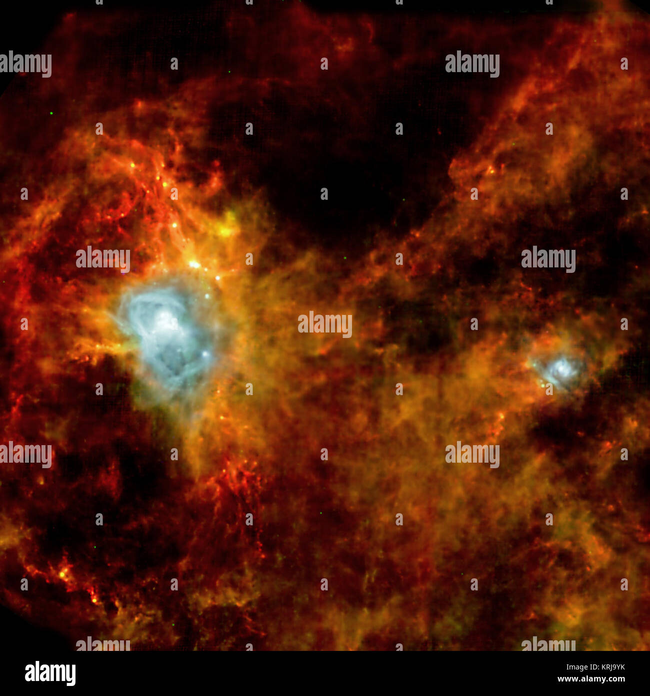 Eine unsichtbare stellare Kinderstube in Sicht kommt in diesem Herschel Bild. Rund 700 Neu - Sterne bilden geschätzt werden in diese bunten Fäden von Staub überfüllt zu sein. Die Anlage ist Teil eines geheimnisvollen Ring der Sterne "Gould Belt. Dieses Bild zeigt eine dunkle Wolke 1000 Lichtjahre entfernt im Sternbild Aquila, der Adler. Es umfasst eine Fläche von 65 Lichtjahre über und ist so in Staub gehüllt, dass keine älteren Infrarot Satelliten konnte es zu sehen. Jetzt, dank überlegener Herschel Empfindlichkeit am längsten Wellenlängen Infrarot, Astronomen haben ihr erstes Bild des Inneren Stockfoto