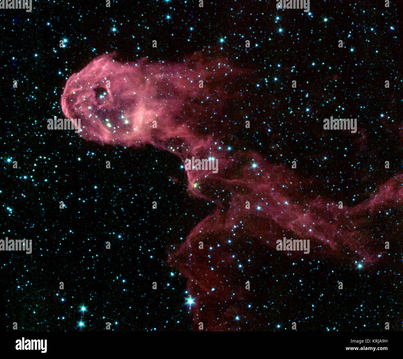 Das NASA-Weltraumteleskop Spitzer Bild zeigt einen glühenden stellare Kinderstube eingebettet in der Elephant Trunk Nebula, eine längliche Dunkle globule innerhalb der Emissionsnebel IC 1396 im Sternbild Cepheus. In einer Entfernung von 2.450 Licht entfernt - Jahre, die Globule ist eine Kondensation von dichten Gas, das ist kaum überleben die stark ionisierende Strahlung aus einem nahe gelegenen Stern. Die globule wird durch die umliegenden ionisiertes Gas komprimiert. Das Spitzer Space Telescope durchbohrt durch den Schleier der Geburt neuer Protosterne, oder EMBRYONALE Sterne zu offenbaren, und zuvor nicht realisierbarer Junge sta Stockfoto