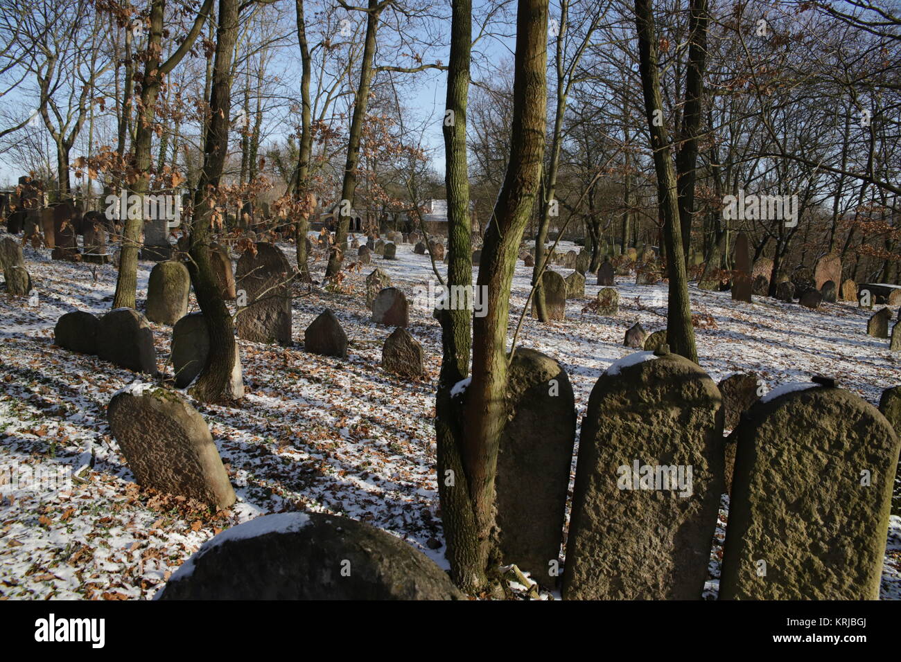 Alter jüdischer Friedhof Stockfoto