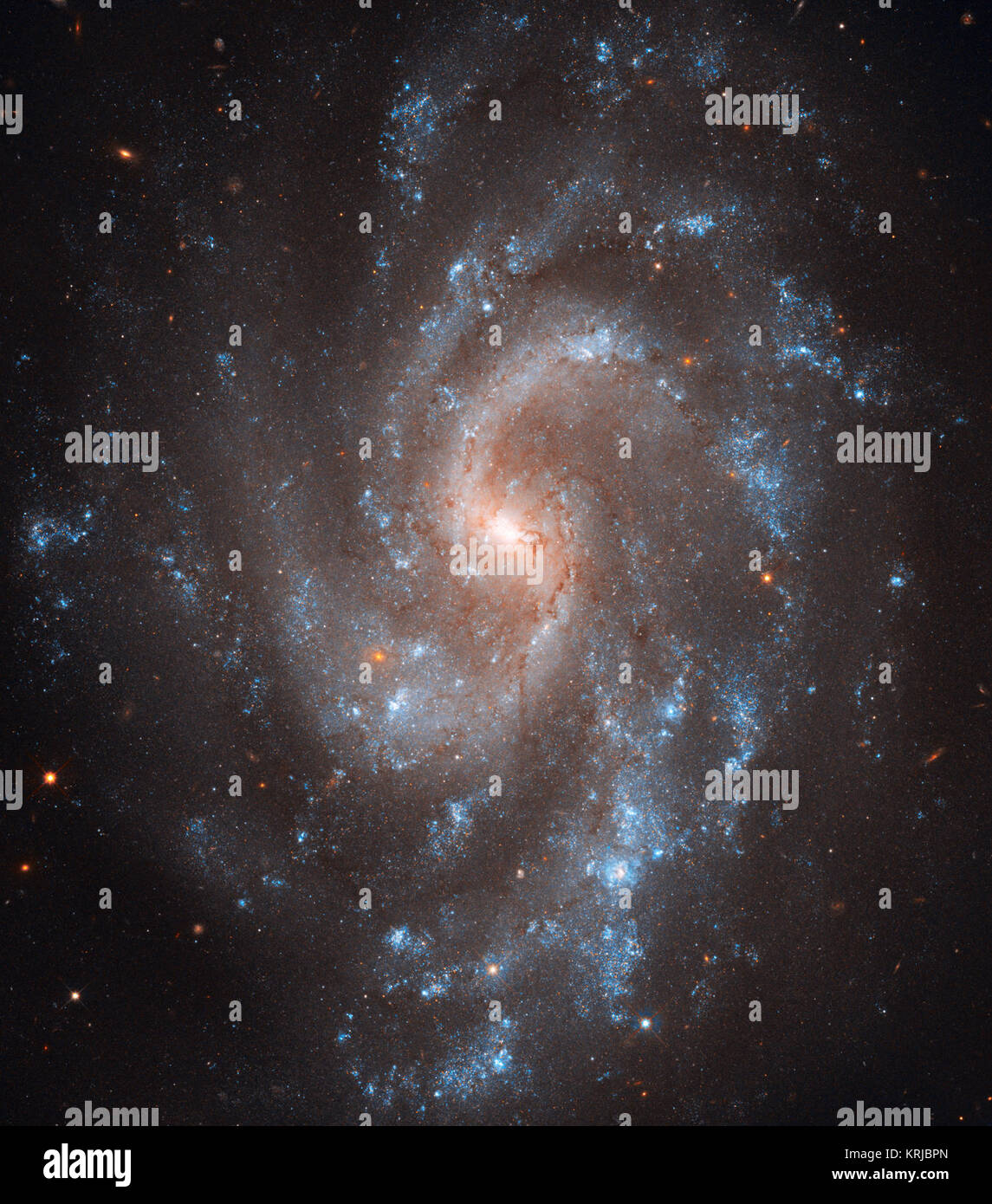 NGC5584 (durch das Hubble Space Telescope erfasst) Stockfoto