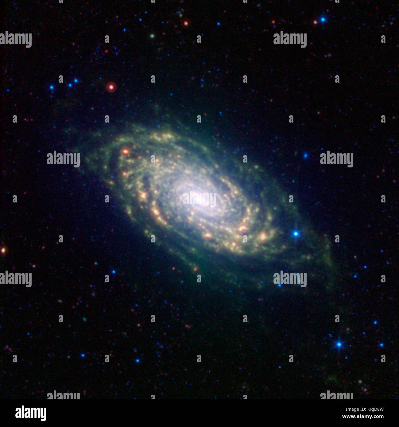 Die verschiedenen Spiralarm Segmente der Sunflower Galaxy, auch Messier 63 genannt, zeigen sich anschaulich in dieses Bild im infraroten Licht von NASA's Spitzer Space Telescope. Infrarotlicht ist empfindlich gegenüber Staub Gassen in Spiralgalaxien, die erscheinen dunkel, in sichtbares Licht Bilder. Spitzers Ansicht zeigt komplexe Strukturen, Muster spiralarm der Galaxie. Messier 63 ist 37 Millionen Lichtjahre entfernt - nicht weit von der bekannten Whirlpool Galaxie und die damit verbundene Messier 51 Gruppe von Galaxien. Der Staub, leuchtend rot in diesem Bild, können ganz nach unten verfolgt in der Galaxie nucleu werden Stockfoto