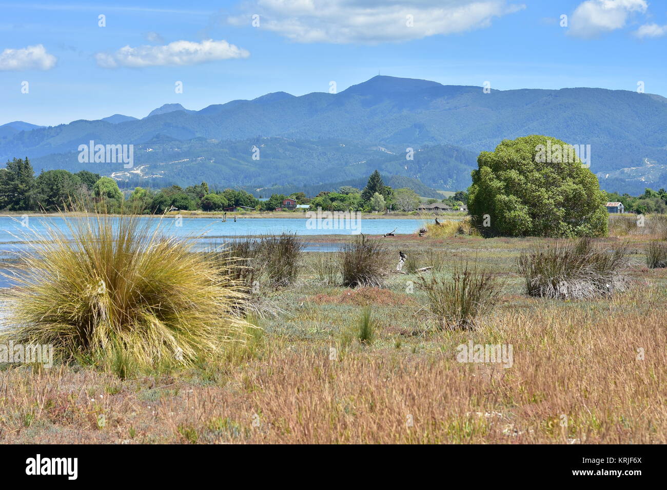 Gras Land mit Büschen von lange Unkraut um seichte Meeresarm mit Hügeln im Hintergrund. Stockfoto