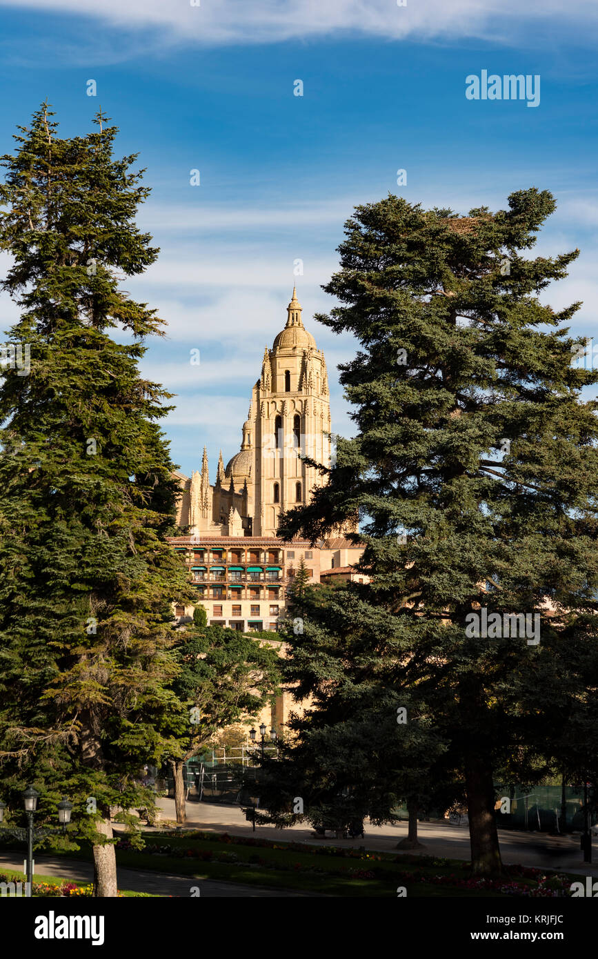 Glockenturm der Kathedrale von Segovia erhebt sich zwischen zwei großen Bäumen Stockfoto