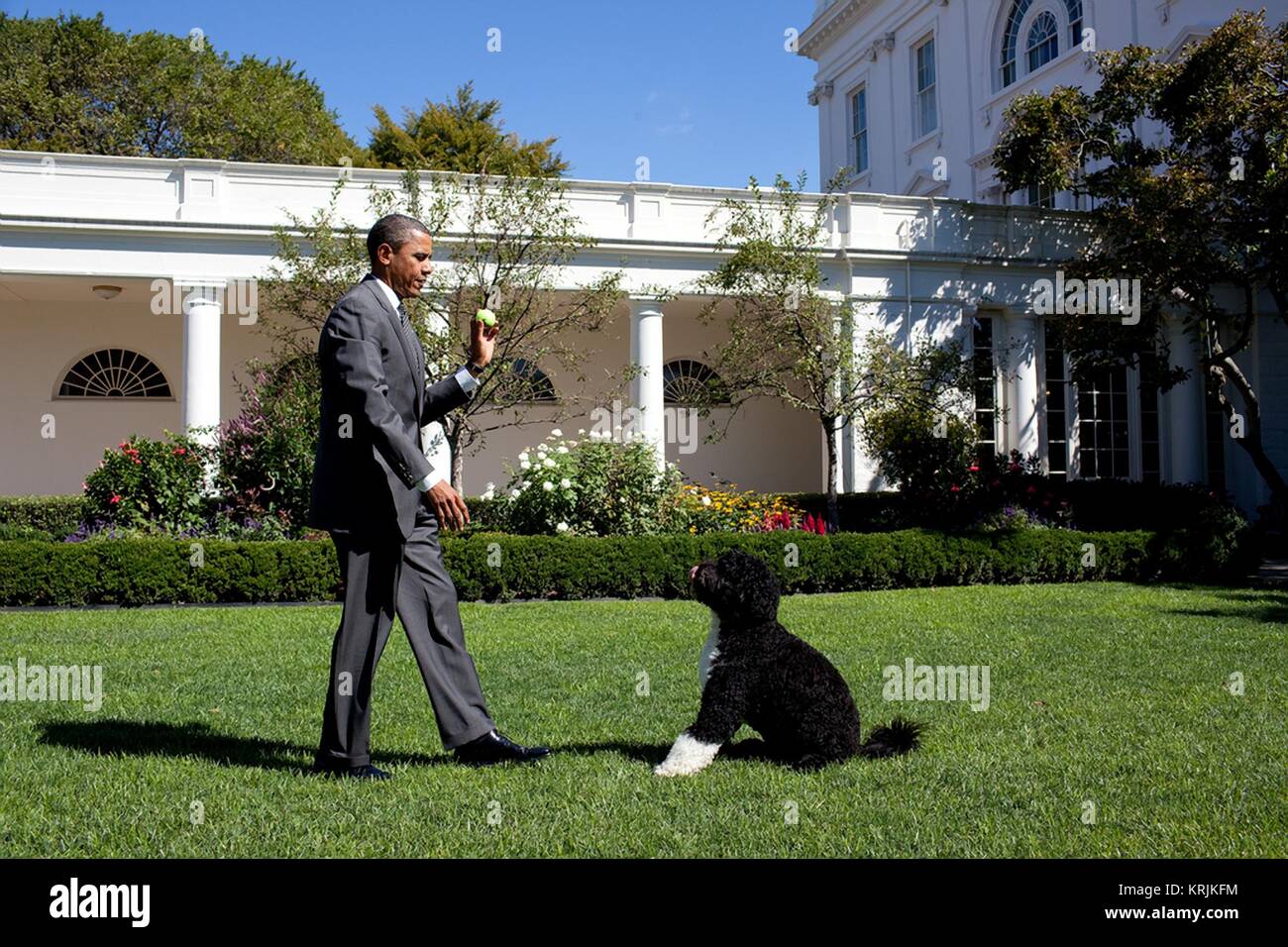 Us-Präsident Barack Obama wirft einen Tennisball für die Familie Hund Bo im Rosengarten des Weißen Hauses September 9, 2010 in Washington, DC. Stockfoto