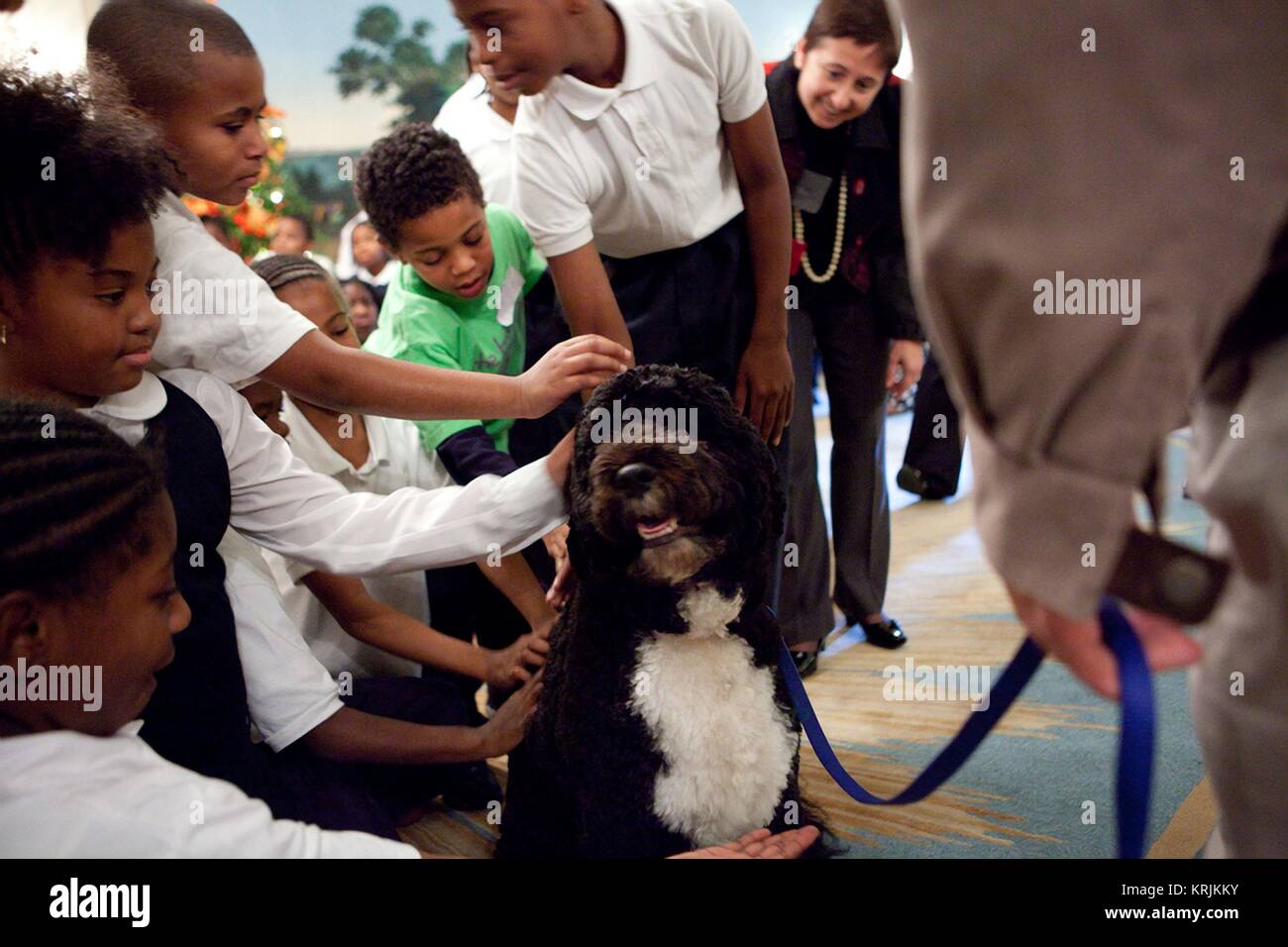 Us-Präsident Barack Obama aktiven Lifestyle Award Durchführer Grüße erster Hund Bo im Weißen Haus diplomatischen Empfang Rom November 29, 2010 in Washington, DC. Stockfoto