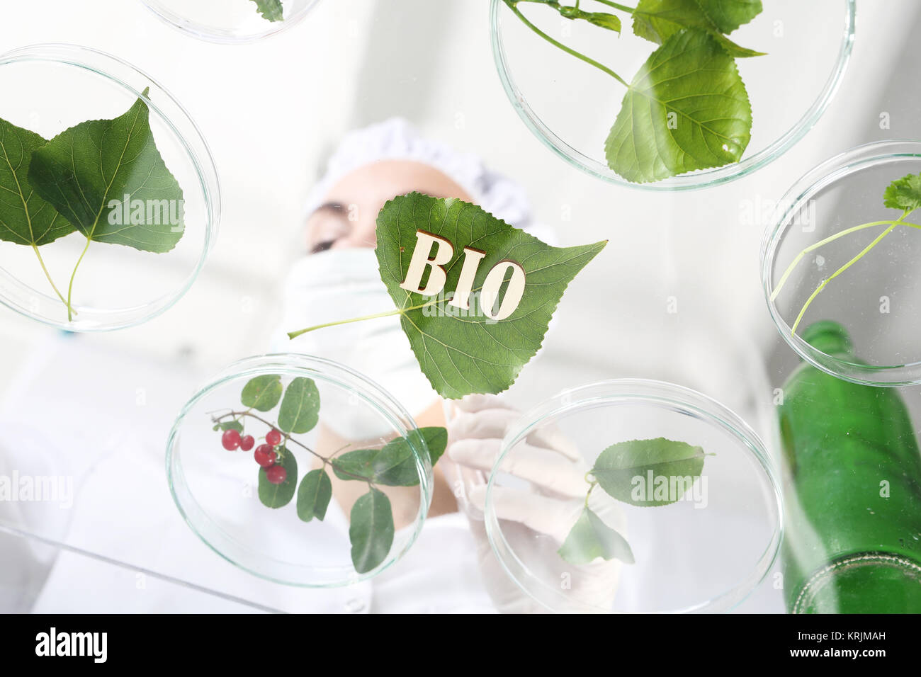 Ingenieur Biotechnologe bei der Arbeit. Stockfoto