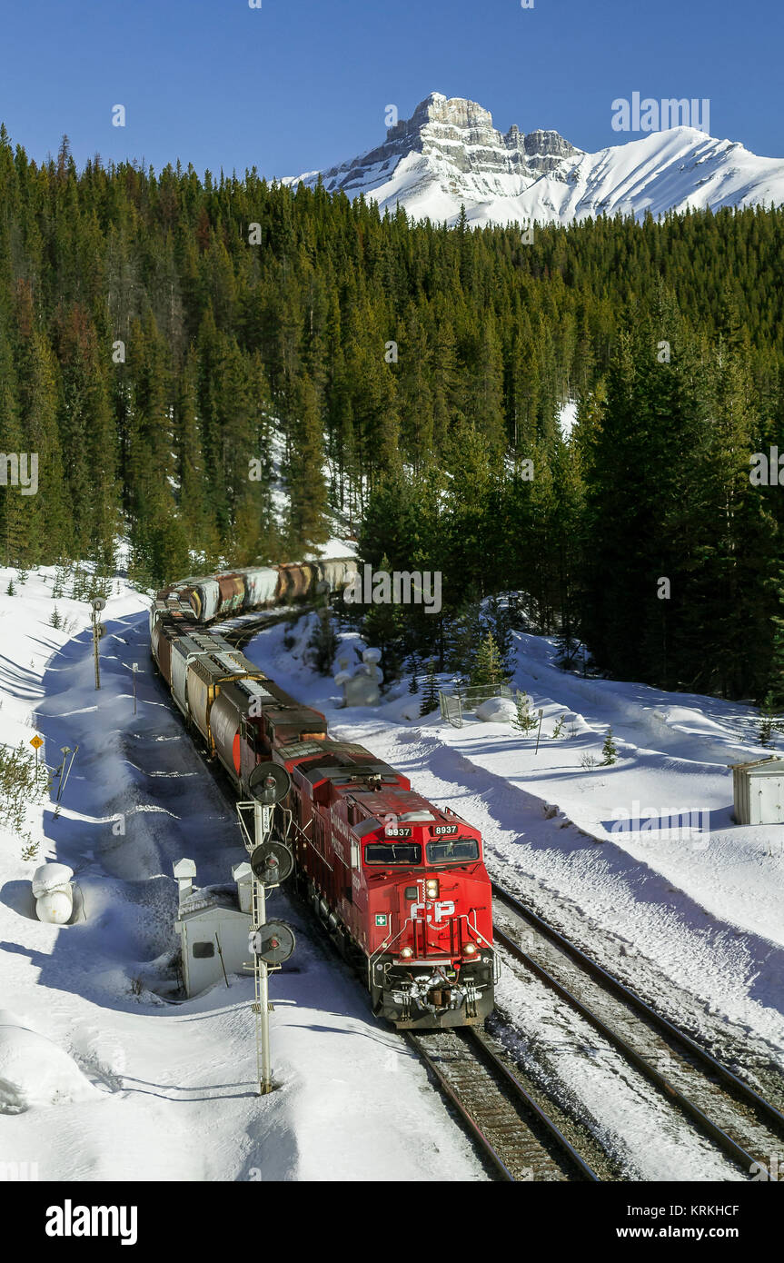 Hlw-Lok 8938 führt Getreide Zug gegen Abend bei Stephen - Kicking Horse Pass - Banff Park - Alberta Stockfoto