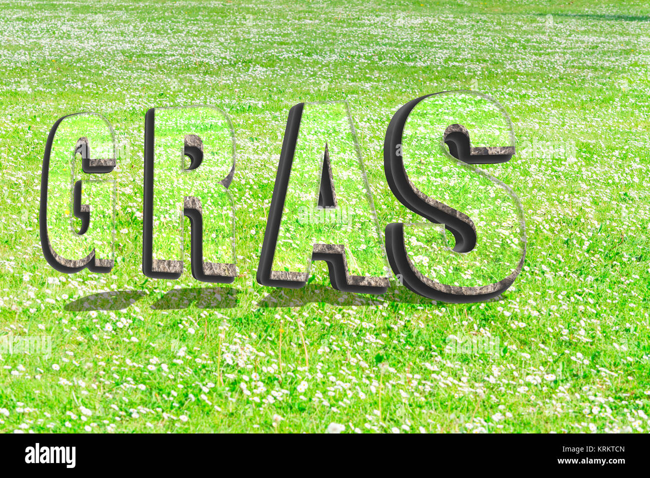 Das Wort Gras im grünen Gras Struktur in 3d Stockfoto