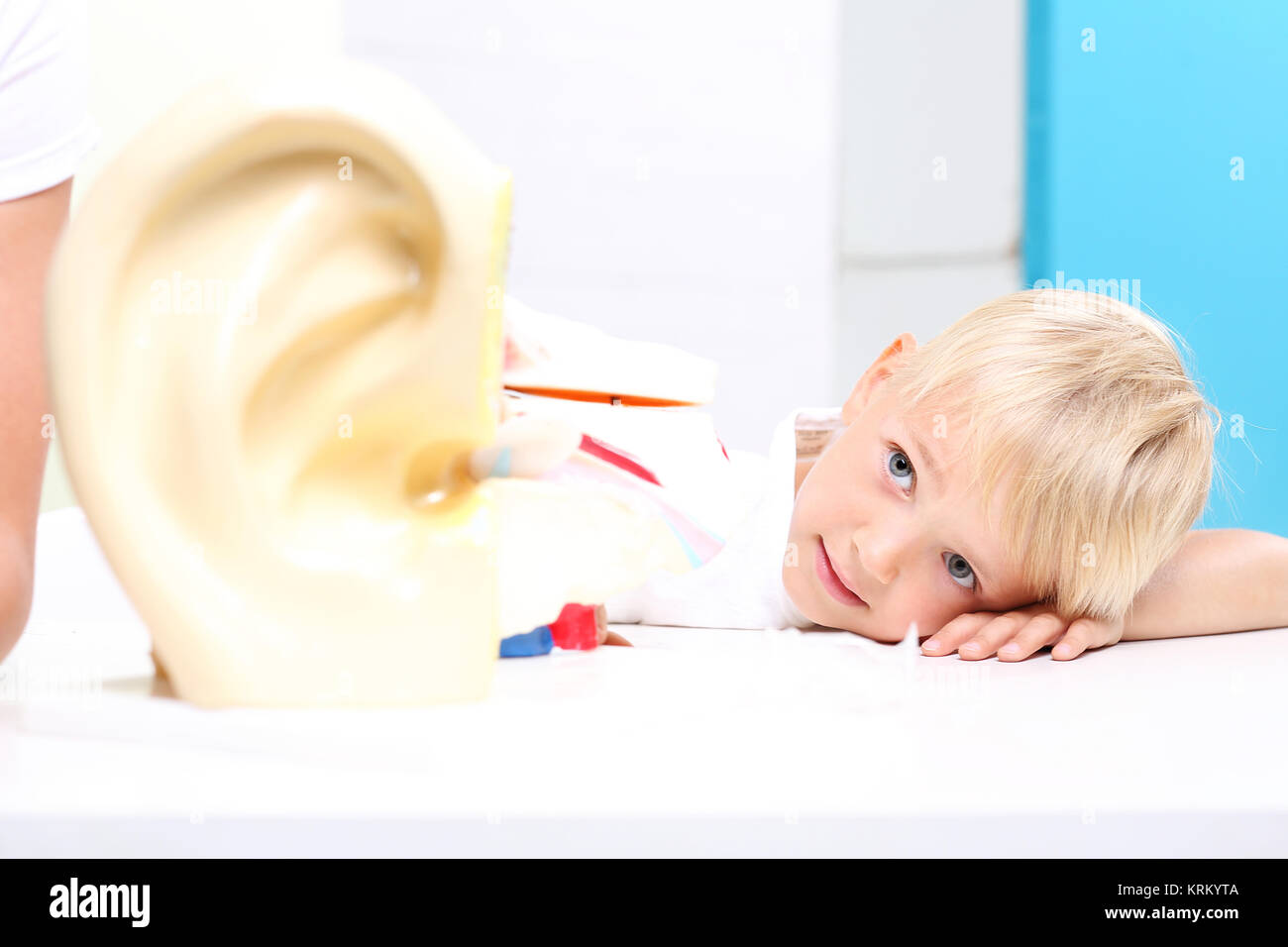 NarzÄ… d sÅ'uchu, budowa Ucha. Hilfe naukowa, Modell ludzkiego Ucha. Stockfoto