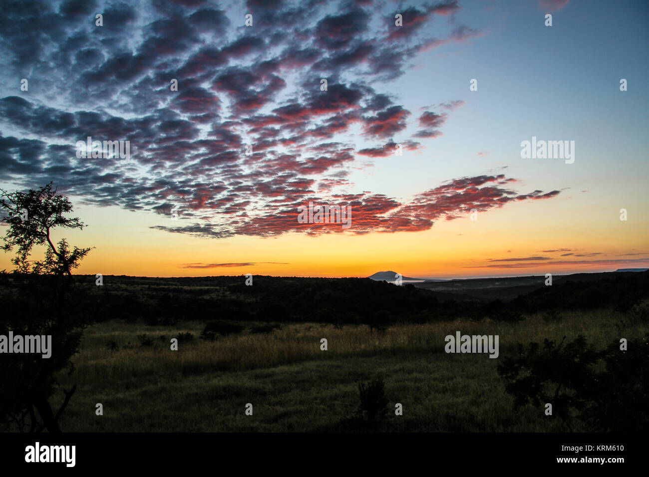 Val Trebbia, Italia Stockfoto