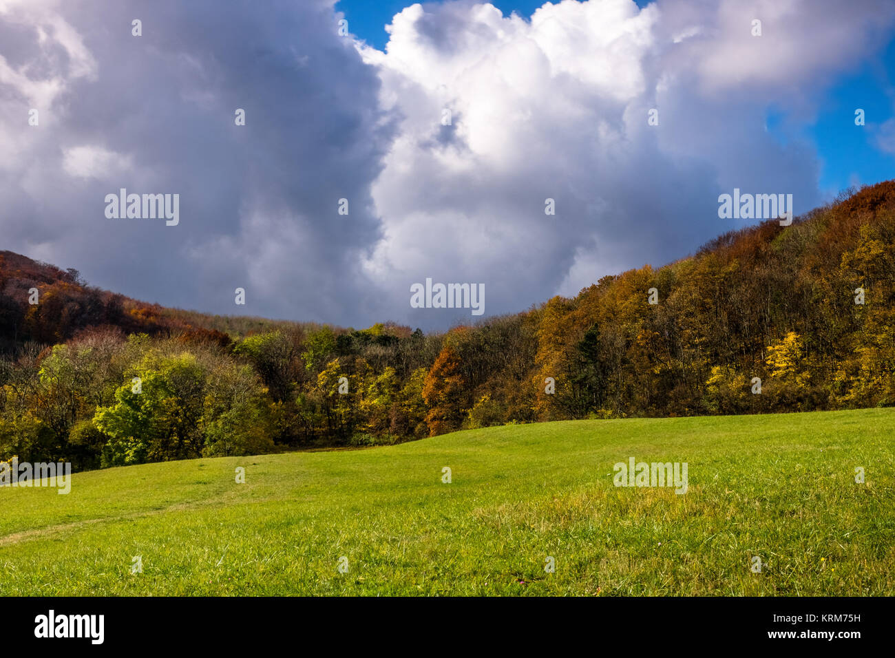 Herbst Landschaft Stockfoto