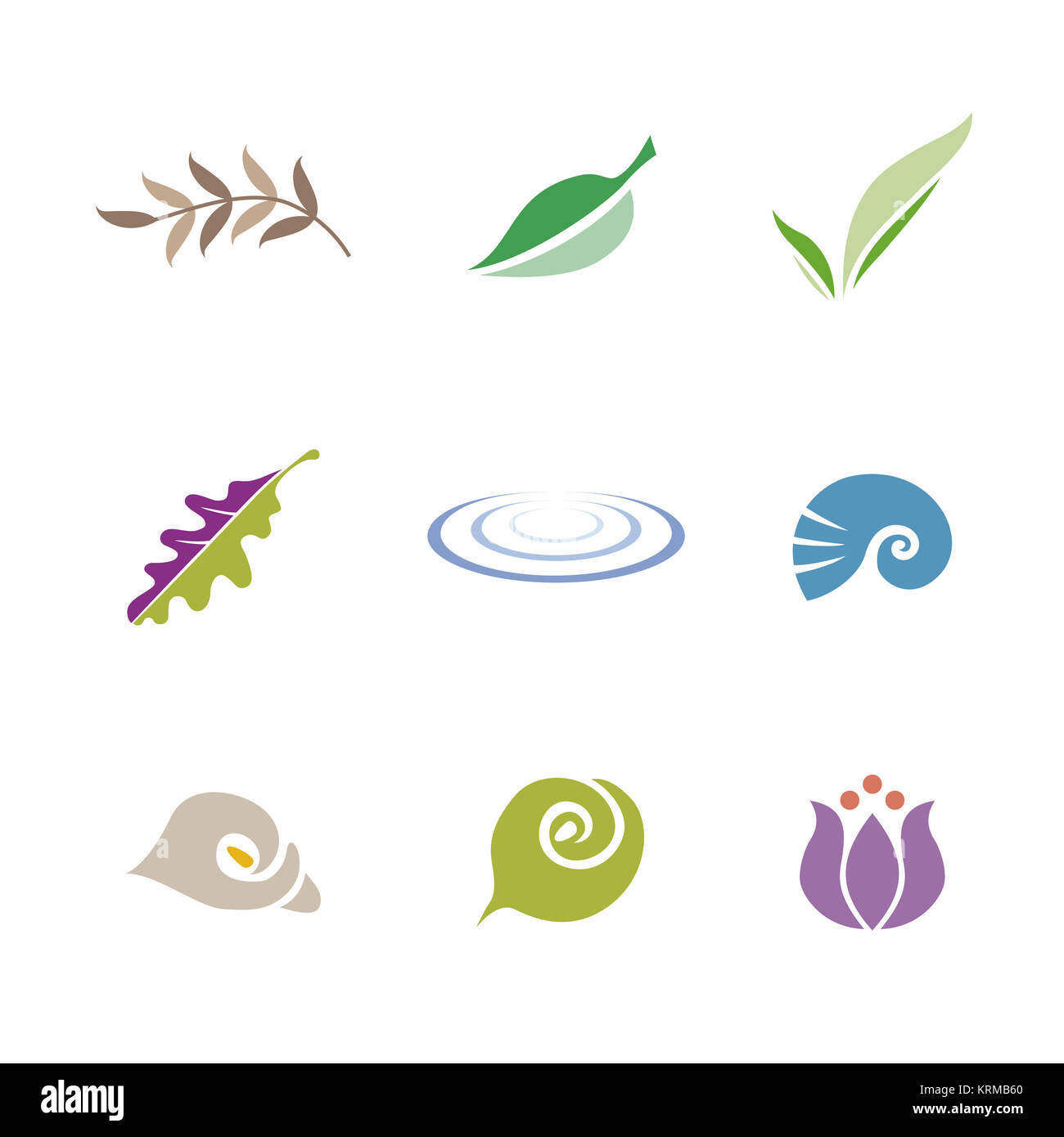 Satz von Symbolen (Blatt, Shell, Blume und Welligkeit) Stockfoto