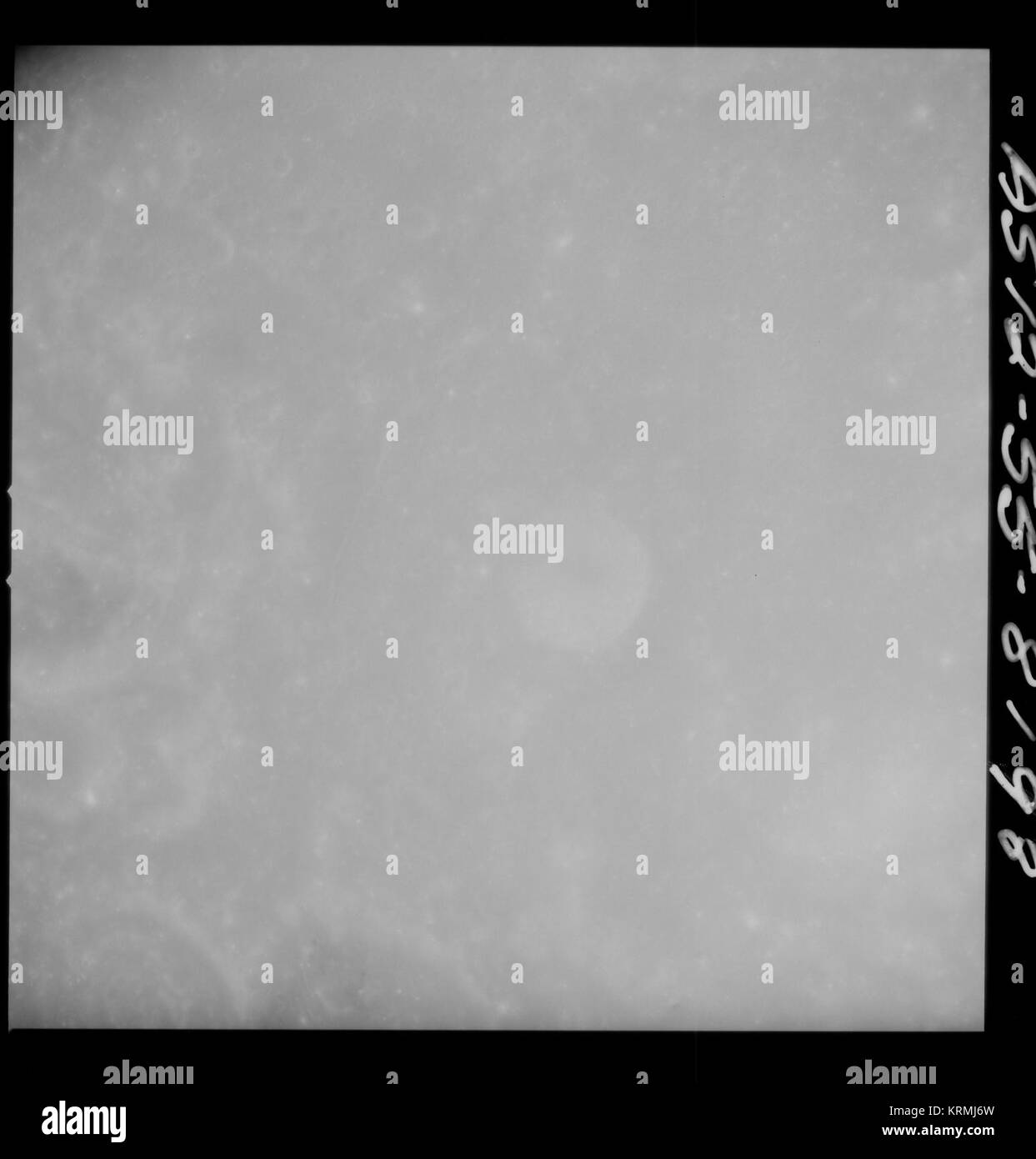 Wie 12-55 -8198 (21761904280) Stockfoto