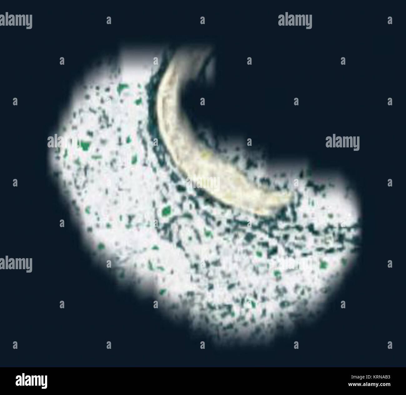 Nanosny - Landsat Stockfoto