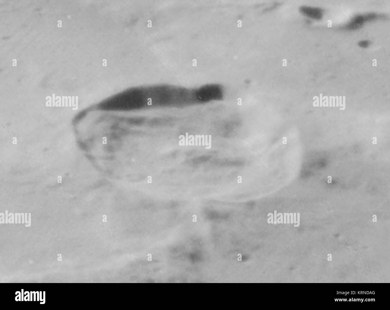 C Mayer Krater 4191 h1 Stockfoto