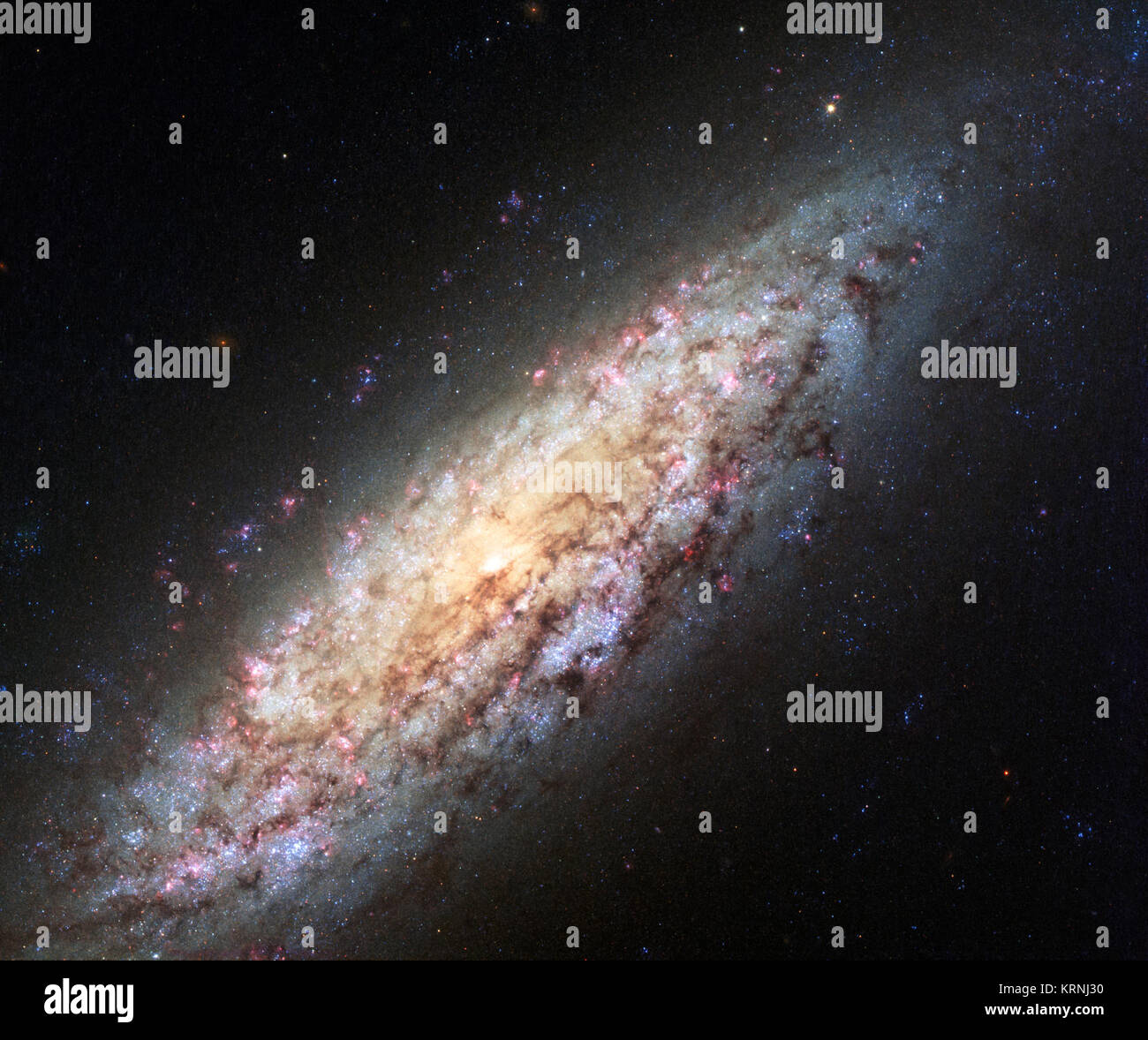 Dieser NASA/ESA Hubble Space Telescope Bild zeigt die Galaxie NGC 6503. Die Galaxie, die ist 30 000 Lichtjahre entfernt liegt am Rande einer seltsam leer patch Platz nannte die Lokalen nichtig. Dieses neue Bild zeigt einen äußerst umfangreichen Satz von Farben, die Details in den Bildern gesehen. NGC 6503 (2015-06-10) Stockfoto