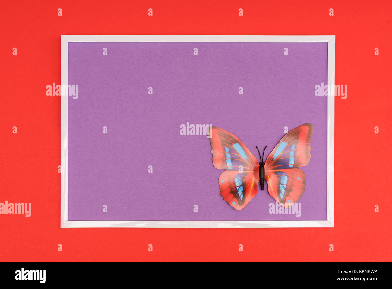 Dekorativer Schmetterling auf einem farbigen Hintergrund Stockfoto