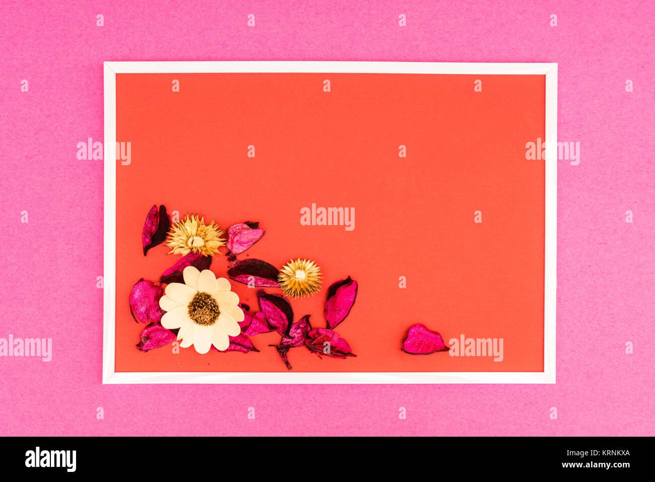 Zusammensetzung mit trockenen Blumen auf einem farbigen Hintergrund Stockfoto